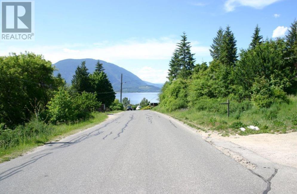 1351 10 Avenue Ne, Salmon Arm, British Columbia  V1E 4N1 - Photo 3 - 10346782