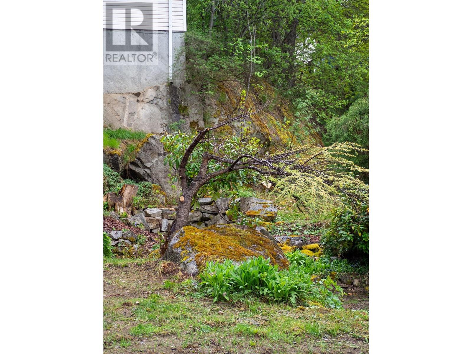 822 Richards West Street, Nelson, British Columbia  V1L 6E3 - Photo 18 - 10346746