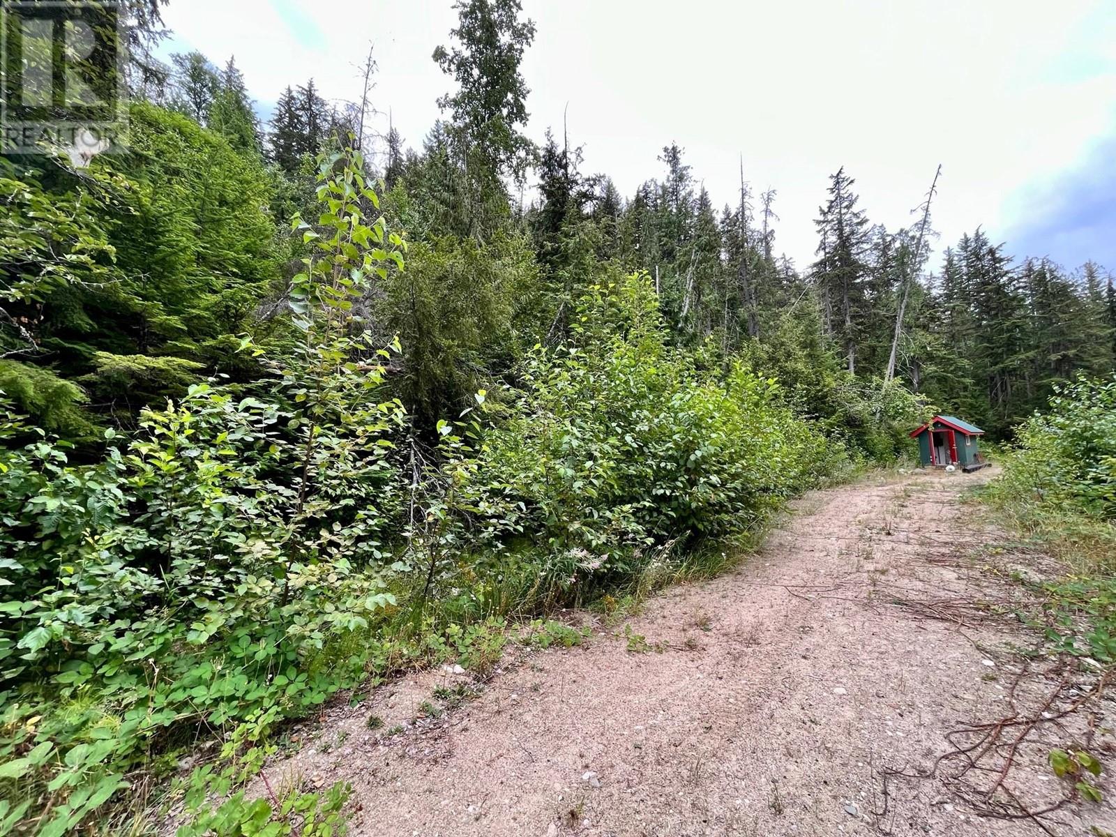 Lot 8 East Anstey Arm Bay, Sicamous, British Columbia  V0E 2V0 - Photo 10 - 10346797