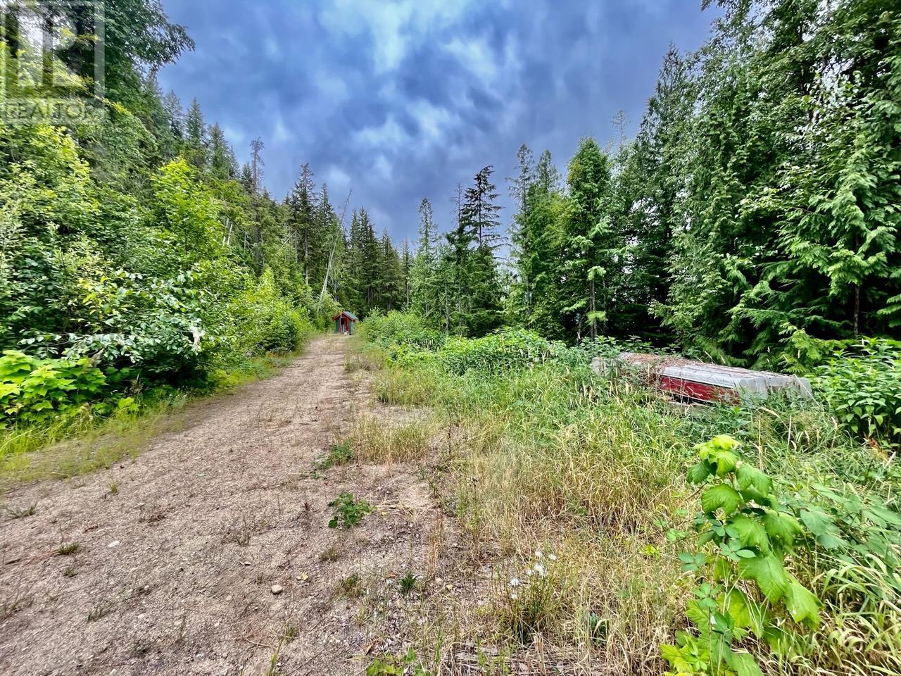 Lot 8 East Anstey Arm Bay, Sicamous, British Columbia  V0E 2V0 - Photo 11 - 10346797
