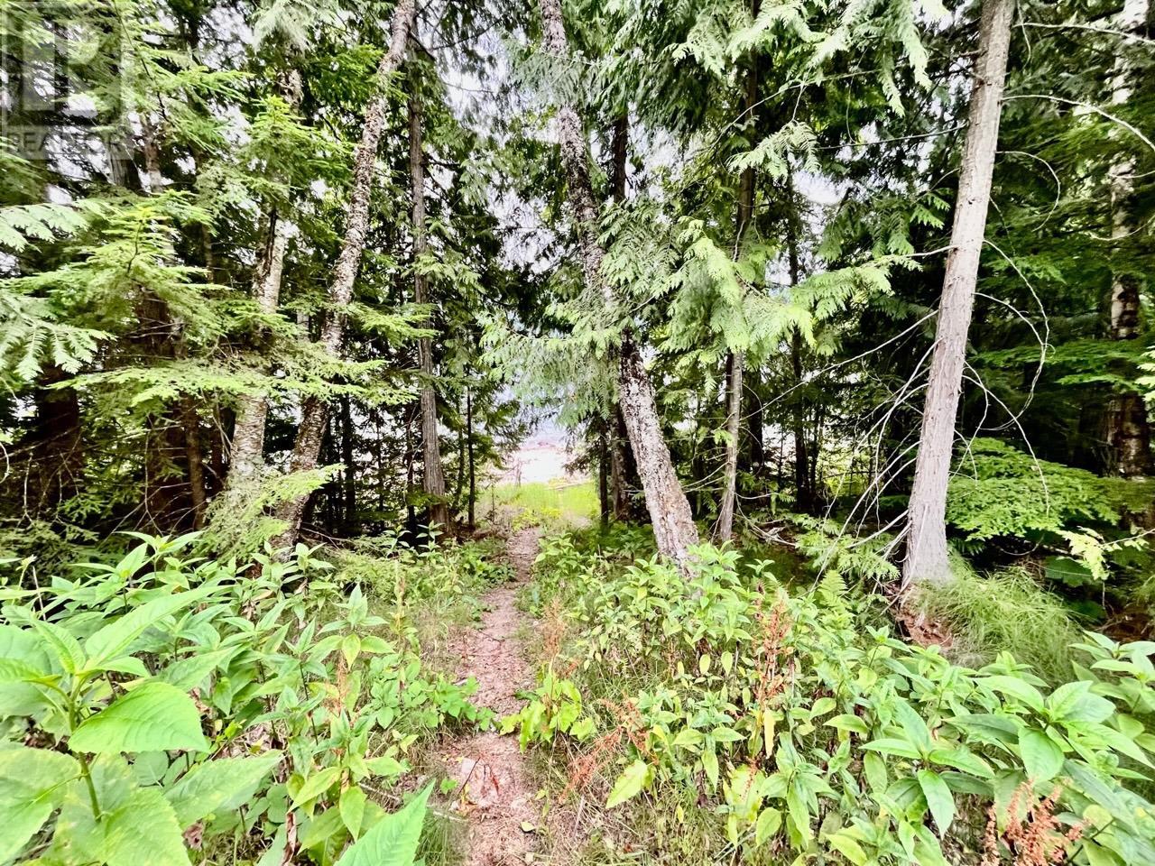 Lot 8 East Anstey Arm Bay, Sicamous, British Columbia  V0E 2V0 - Photo 12 - 10346797