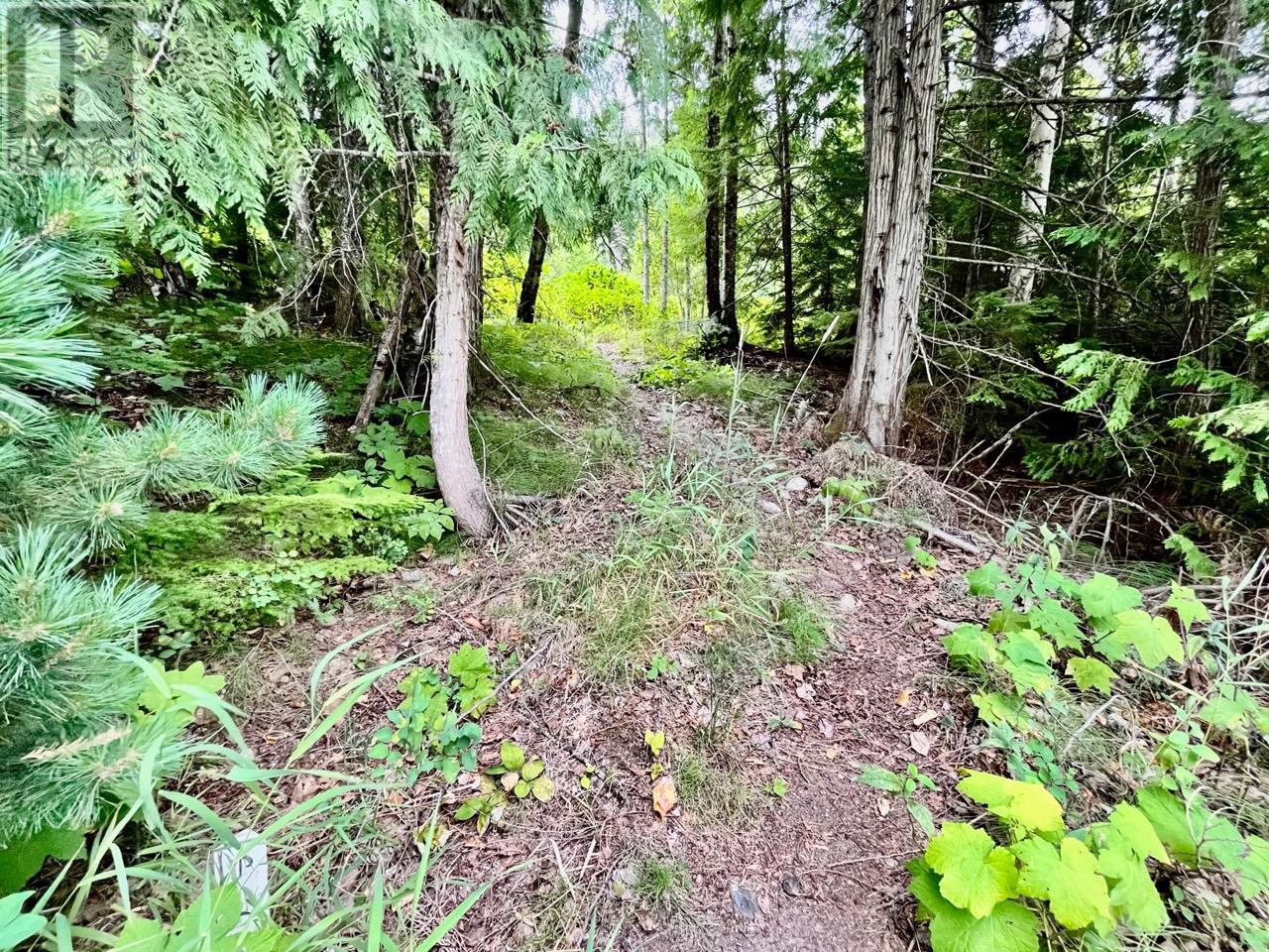 Lot 8 East Anstey Arm Bay, Sicamous, British Columbia  V0E 2V0 - Photo 14 - 10346797