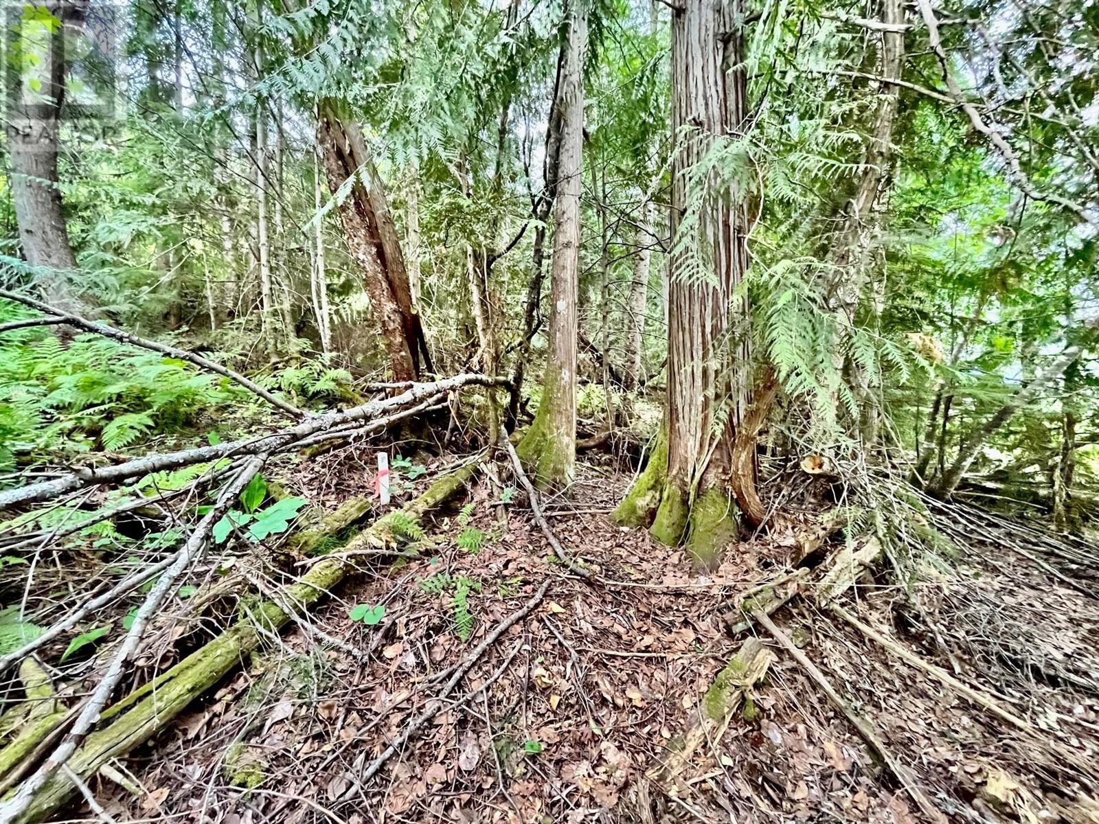 Lot 8 East Anstey Arm Bay, Sicamous, British Columbia  V0E 2V0 - Photo 17 - 10346797