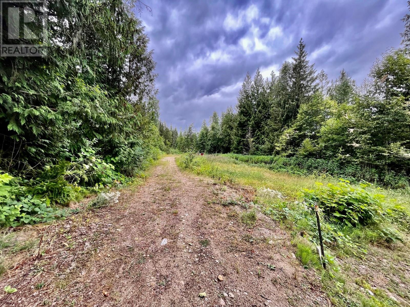 Lot 8 East Anstey Arm Bay, Sicamous, British Columbia  V0E 2V0 - Photo 23 - 10346797