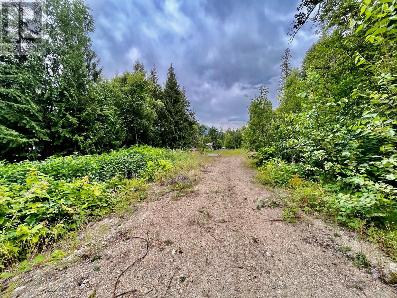 Lot 8 East Anstey Arm Bay, Sicamous, British Columbia  V0E 2V0 - Photo 25 - 10346797