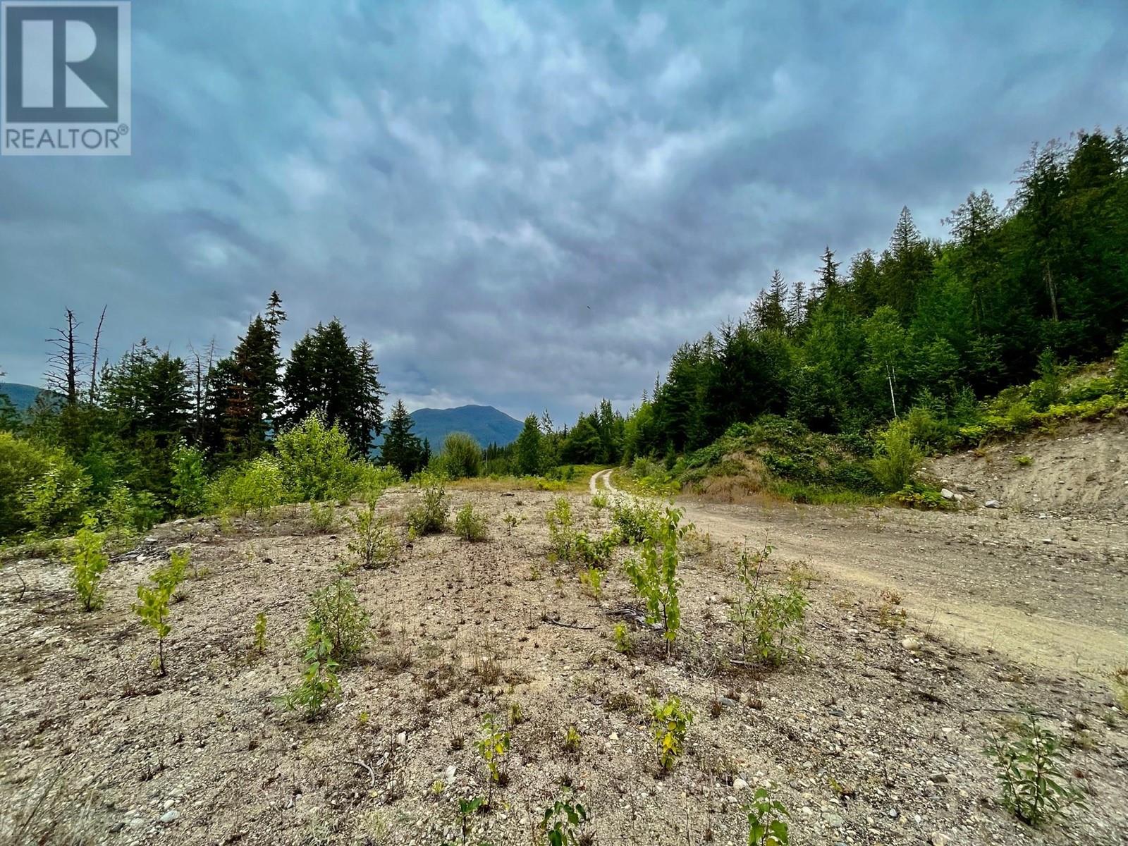 Lot 8 East Anstey Arm Bay, Sicamous, British Columbia  V0E 2V0 - Photo 32 - 10346797