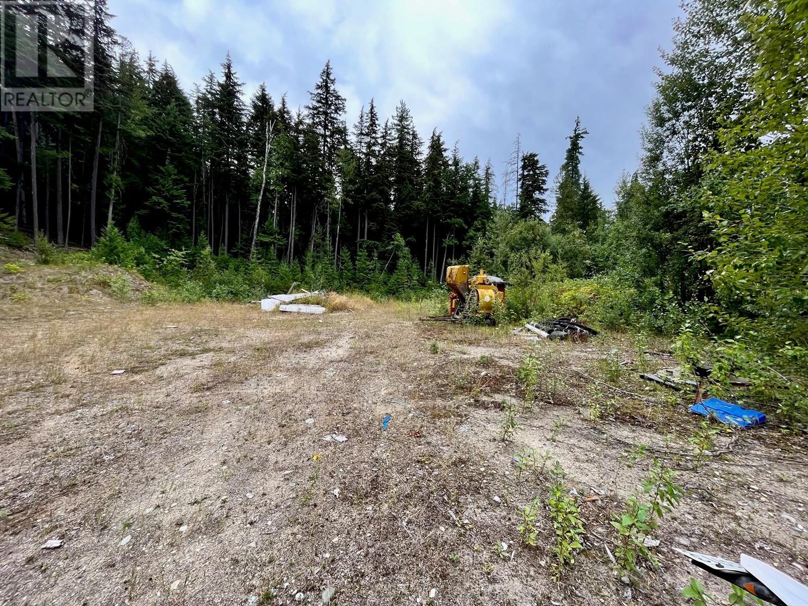Lot 8 East Anstey Arm Bay, Sicamous, British Columbia  V0E 2V0 - Photo 6 - 10346797