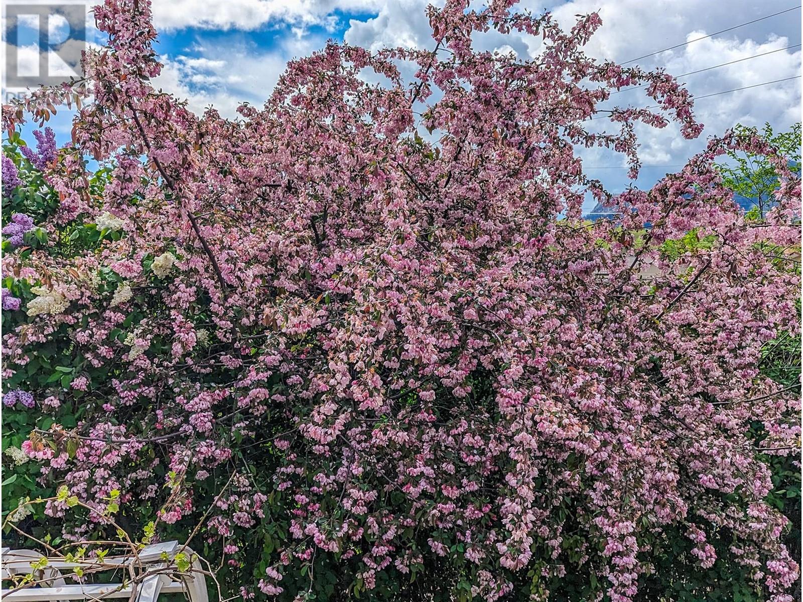 3 Dogwood Place, Osoyoos, British Columbia  V0H 1V1 - Photo 87 - 10345175