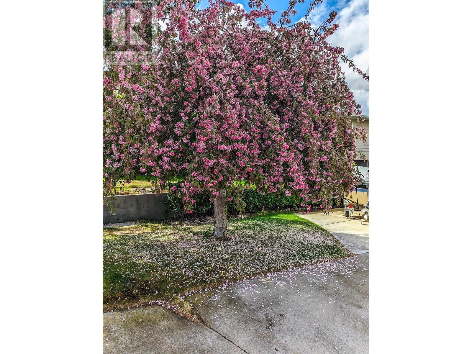 3 Dogwood Place, Osoyoos, British Columbia  V0H 1V1 - Photo 88 - 10345175
