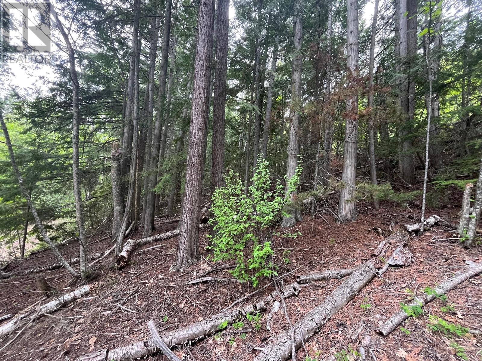 Lot 37 Vickers Trail Lot# 37, Anglemont, British Columbia  V0E 1M8 - Photo 1 - 10346693