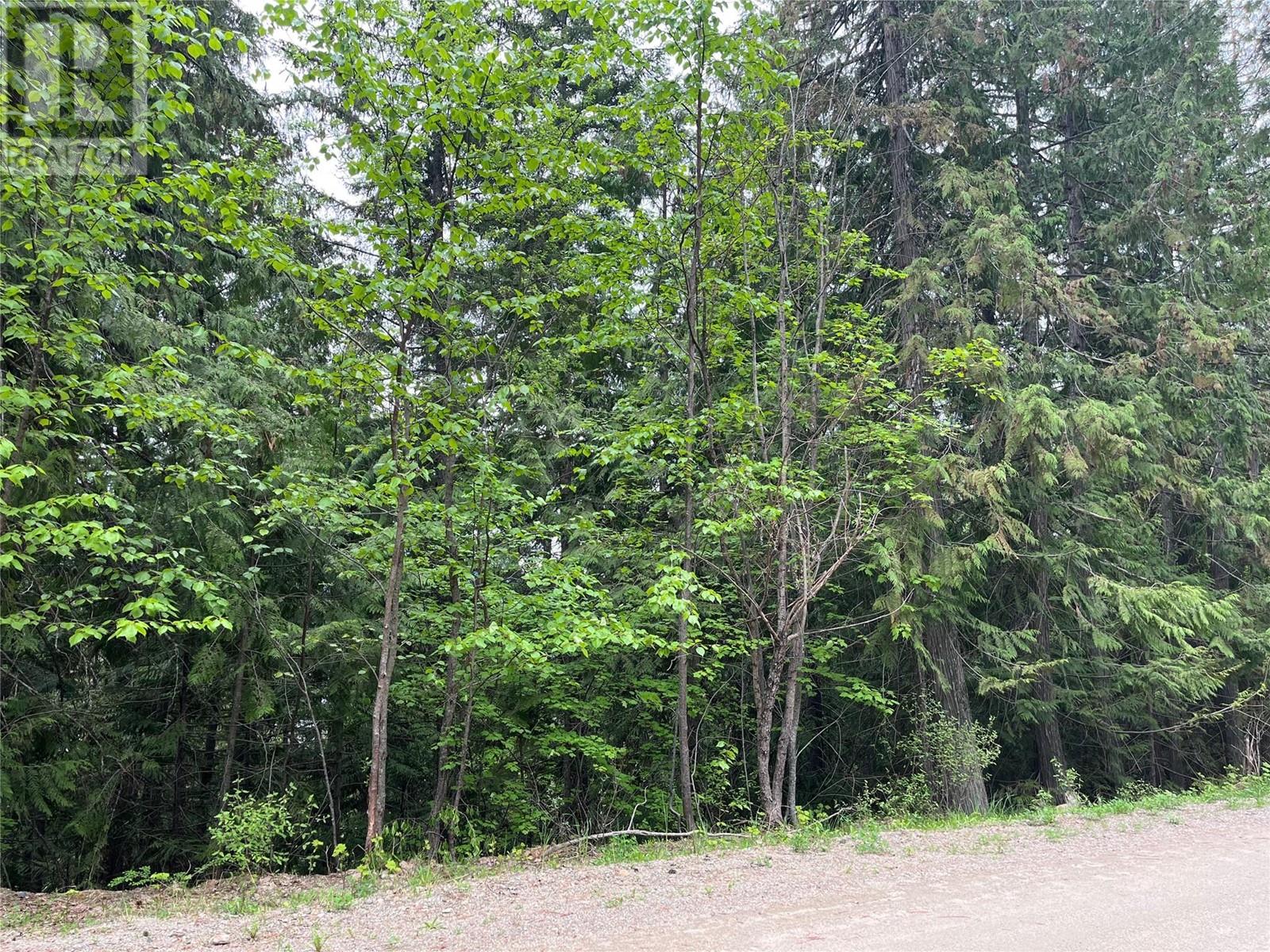 Lot 37 Vickers Trail Lot# 37, Anglemont, British Columbia  V0E 1M8 - Photo 2 - 10346693