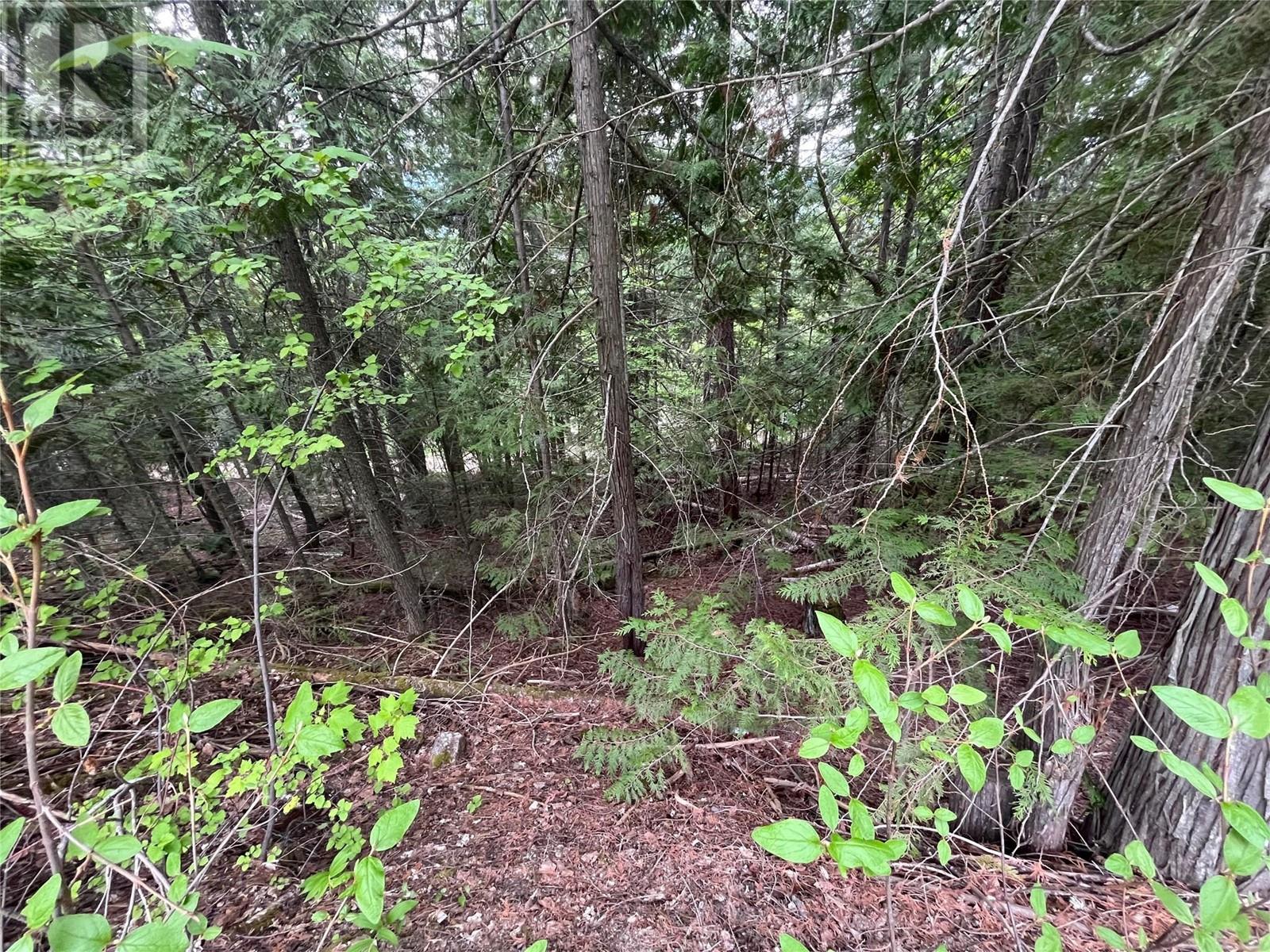 Lot 37 Vickers Trail Lot# 37, Anglemont, British Columbia  V0E 1M8 - Photo 3 - 10346693