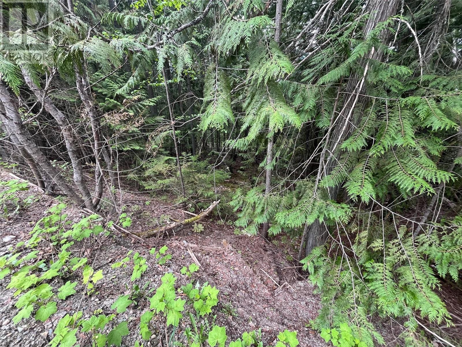 Lot 37 Vickers Trail Lot# 37, Anglemont, British Columbia  V0E 1M8 - Photo 4 - 10346693