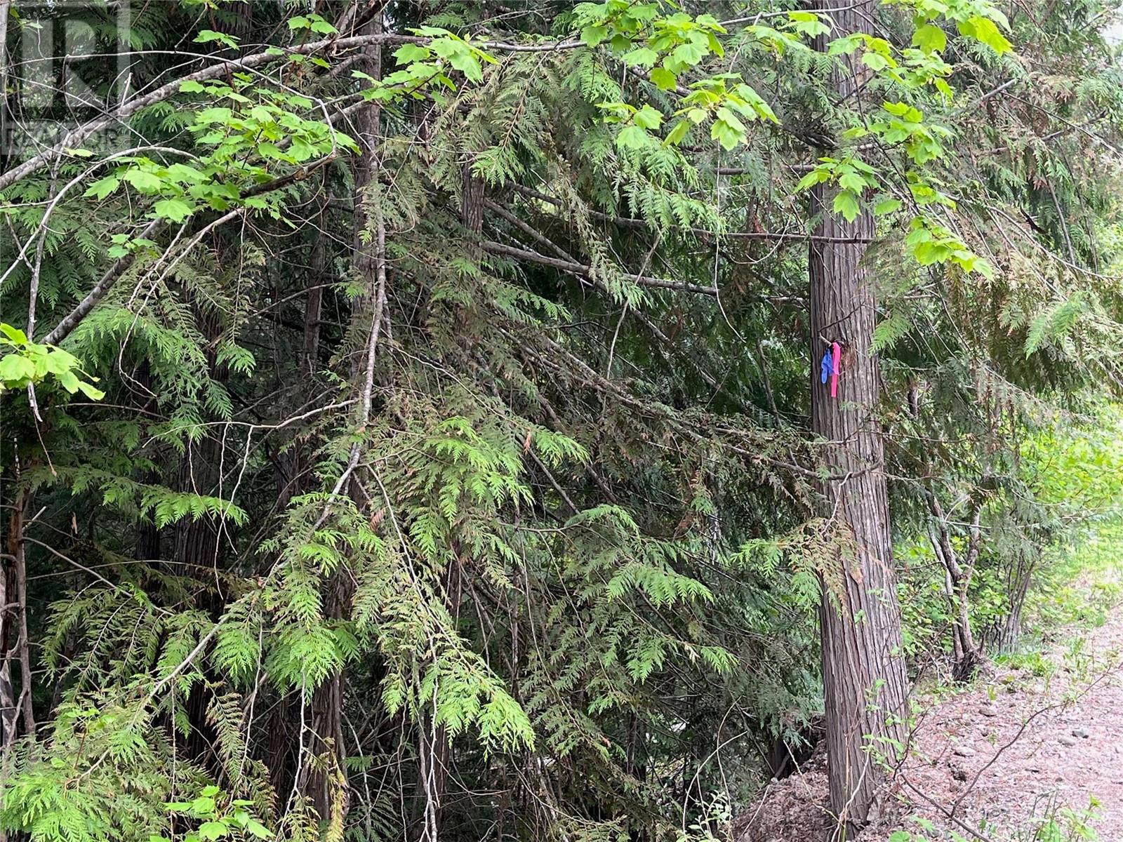 Lot 37 Vickers Trail Lot# 37, Anglemont, British Columbia  V0E 1M8 - Photo 5 - 10346693