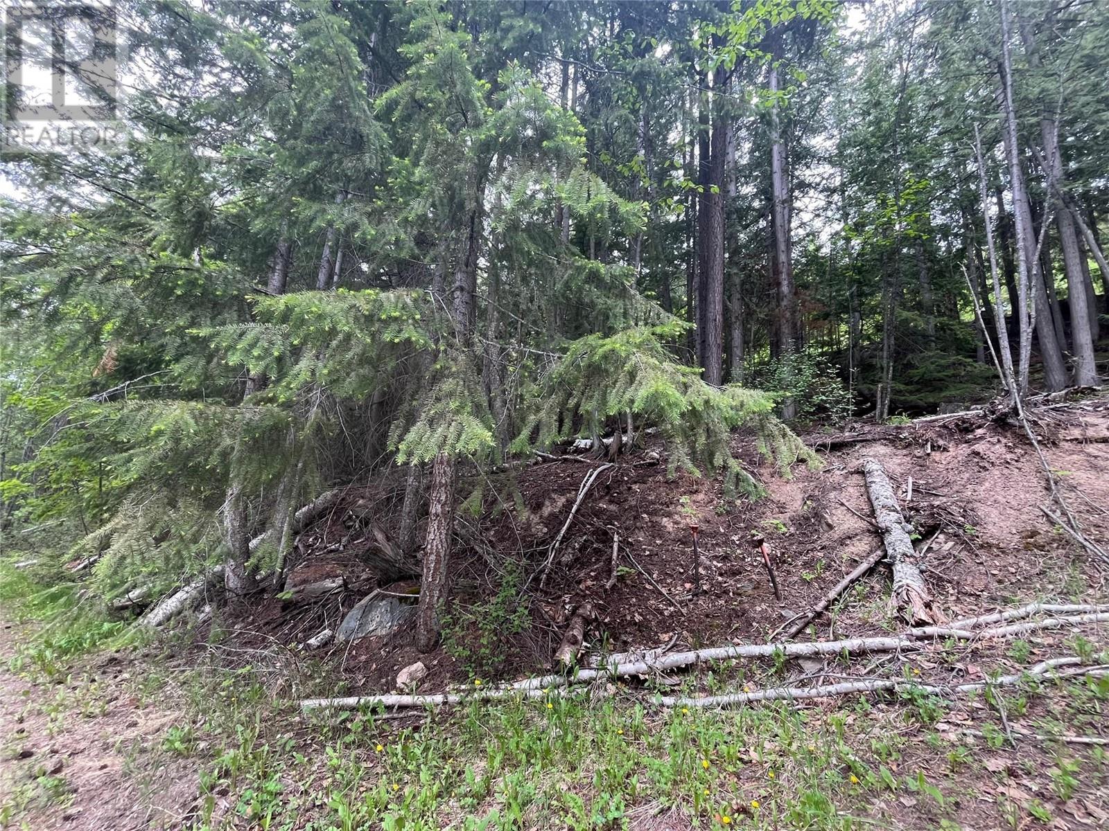 Lot 37 Vickers Trail Lot# 37, Anglemont, British Columbia  V0E 1M8 - Photo 6 - 10346693