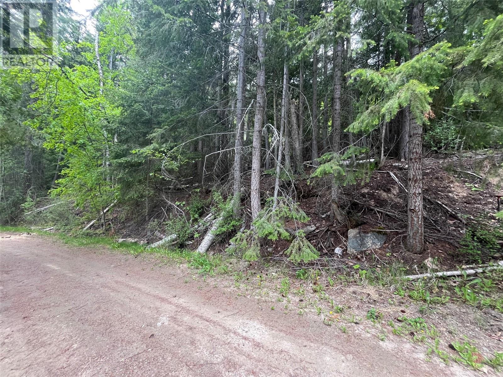 Lot 37 Vickers Trail Lot# 37, Anglemont, British Columbia  V0E 1M8 - Photo 7 - 10346693