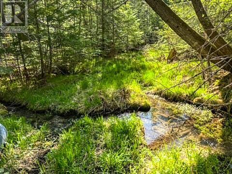 16317 Cedar Road, Crawford Bay, British Columbia  V0B 1E0 - Photo 43 - 10345130