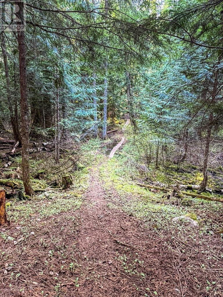 16317 Cedar Road, Crawford Bay, British Columbia  V0B 1E0 - Photo 46 - 10345130