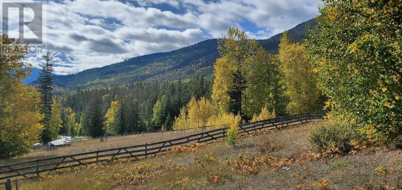 3437 Yellowhead Highway, Vavenby, British Columbia  V0E 3A0 - Photo 20 - 10346614