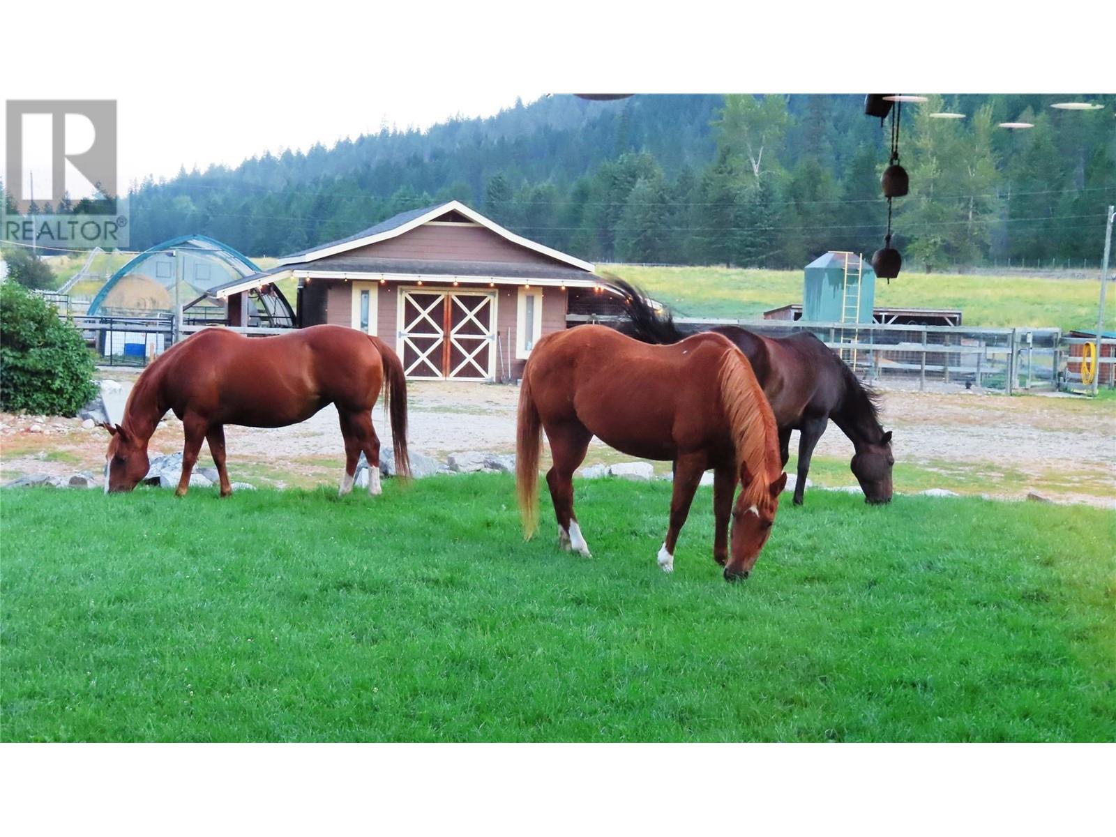 3850 Blythe-Rhone Road, Westbridge, British Columbia  V0H 1Y0 - Photo 88 - 10345844