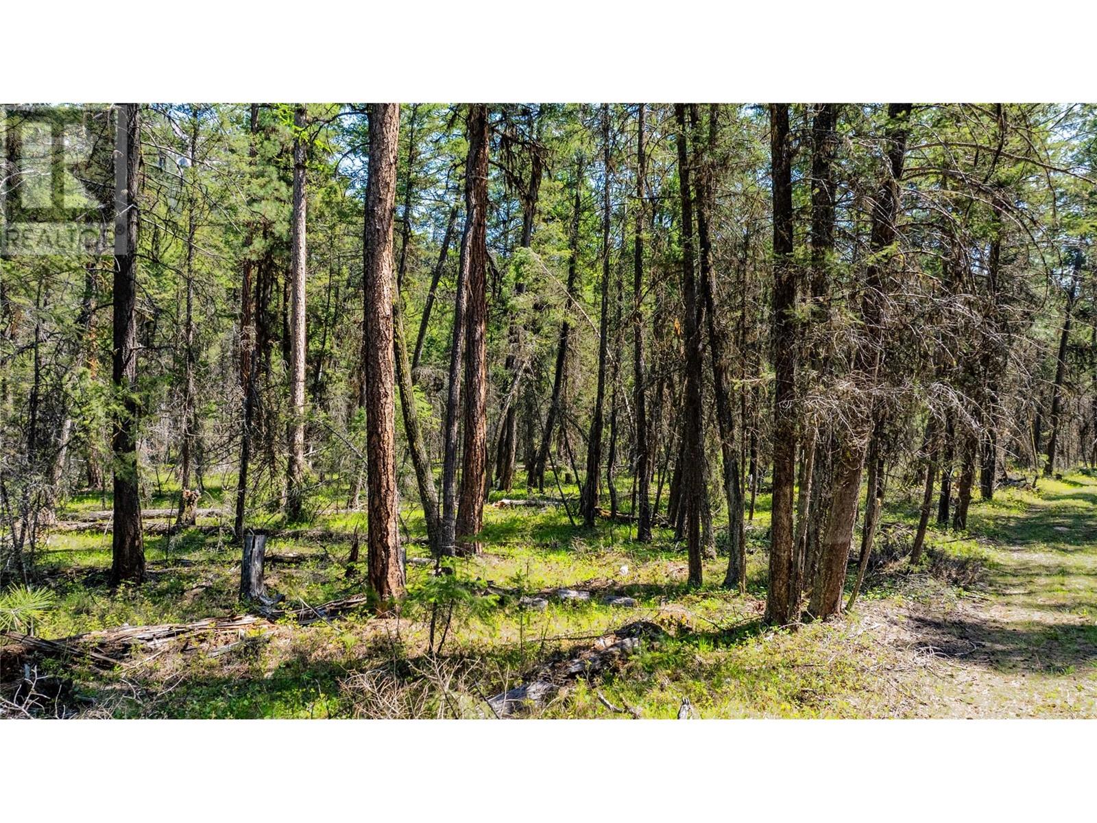 3200 Highway 93/95 Highway, Canal Flats, British Columbia  V0B 2E0 - Photo 26 - 10346321