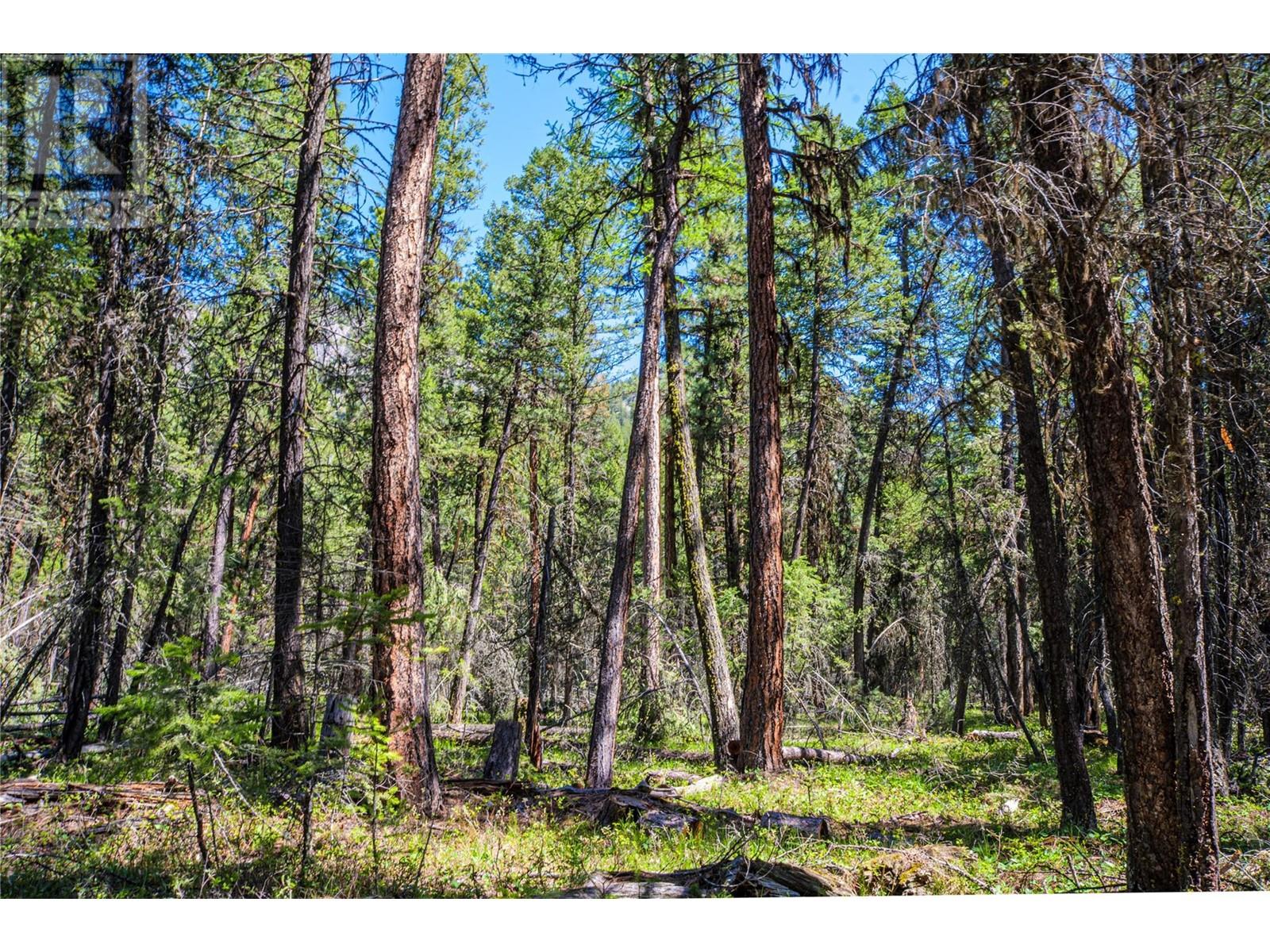 3200 Highway 93/95 Highway, Canal Flats, British Columbia  V0B 2E0 - Photo 27 - 10346321