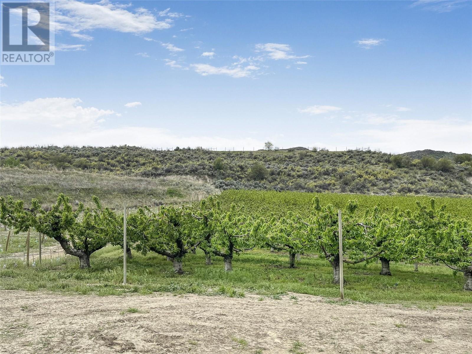 18606 Highway 97, Osoyoos, British Columbia  V0H 1V2 - Photo 24 - 10347042