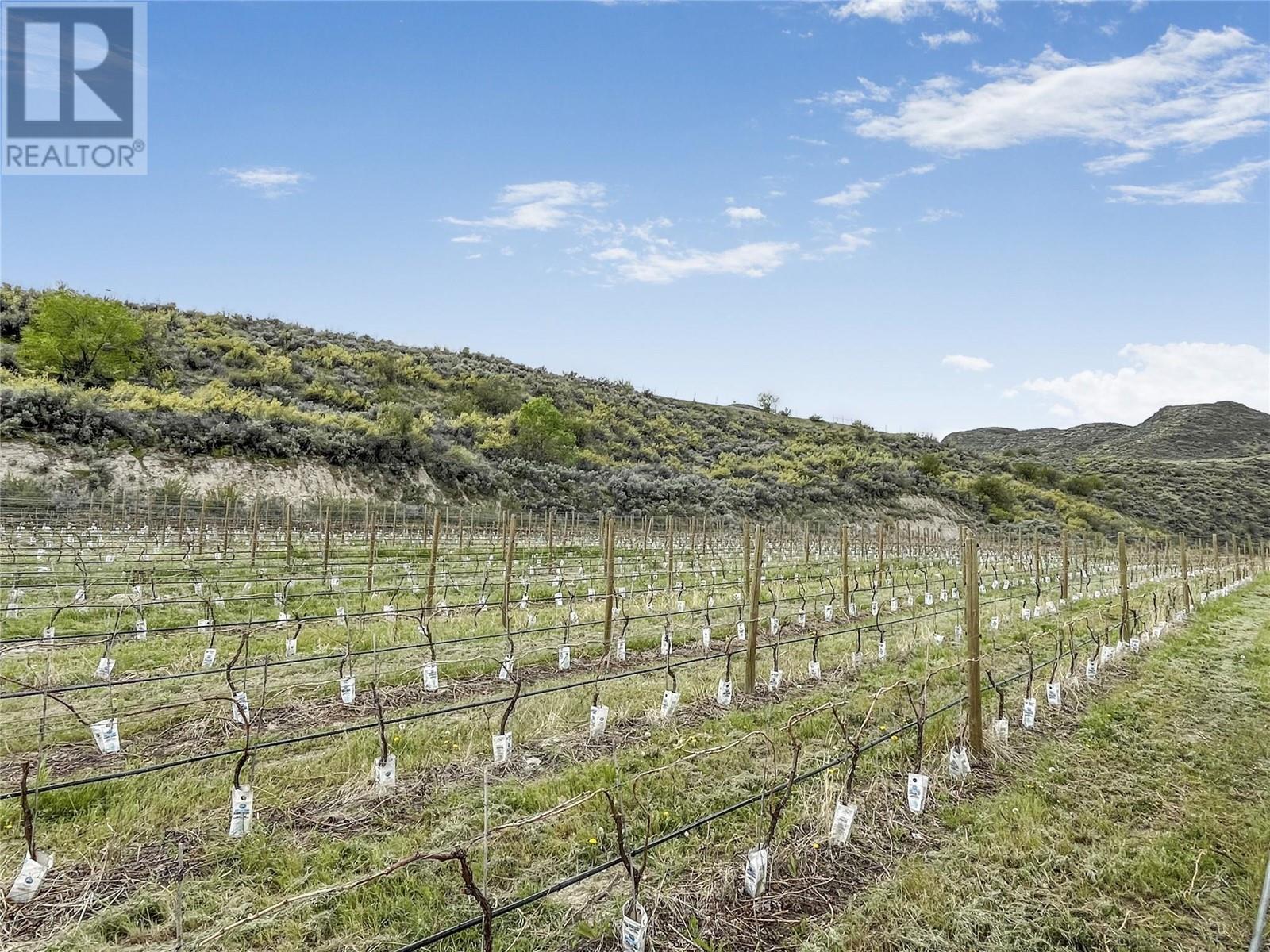 18606 Highway 97, Osoyoos, British Columbia  V0H 1V2 - Photo 29 - 10347042