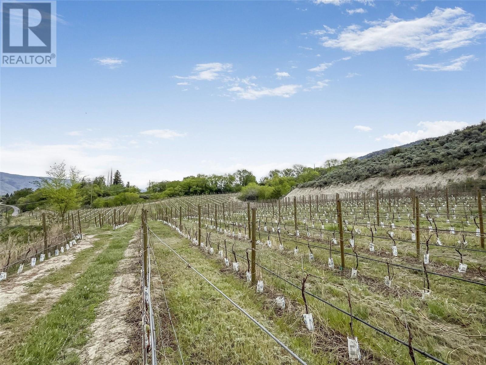 18606 Highway 97, Osoyoos, British Columbia  V0H 1V2 - Photo 33 - 10347042