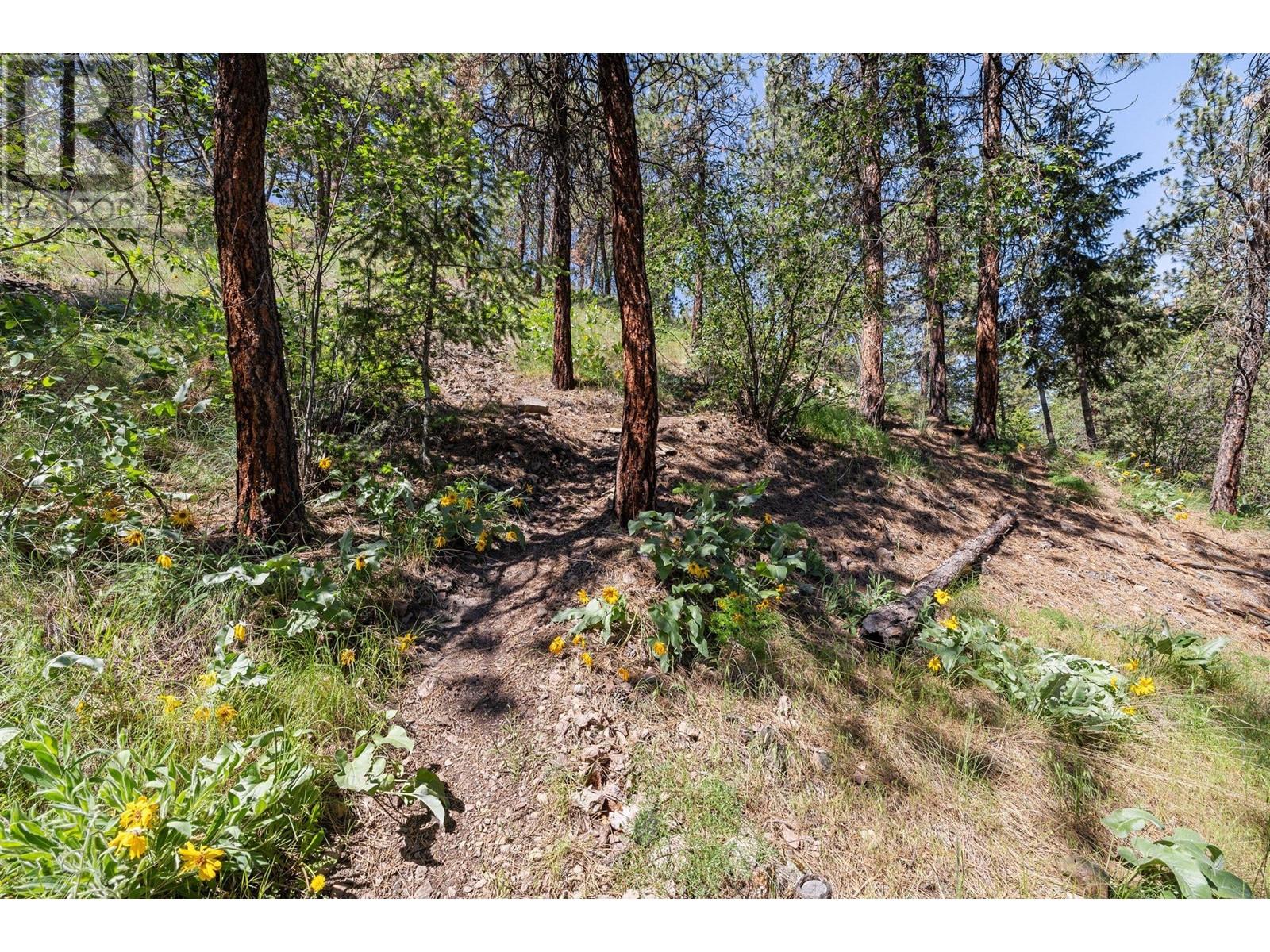 710 Cassiar Road, Kelowna, British Columbia  V1V 1M6 - Photo 50 - 10346851