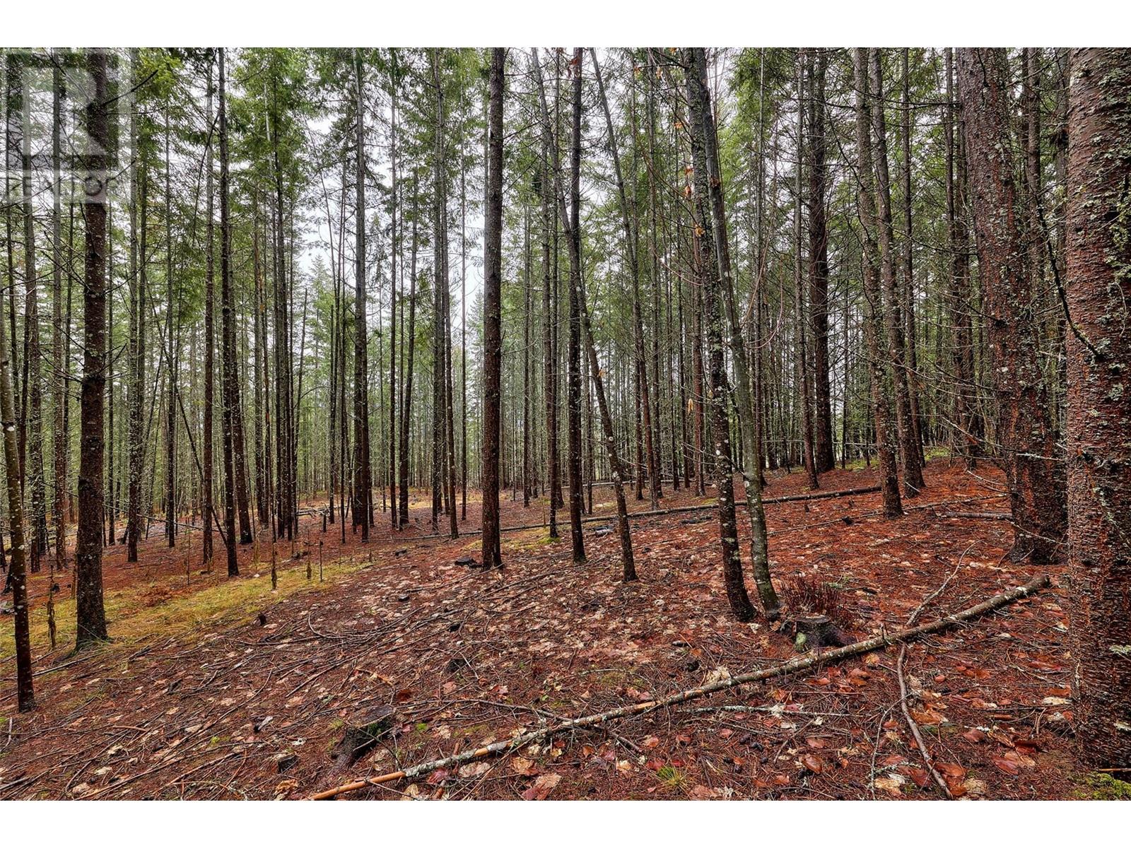 6057 Line 17 Road, Magna Bay, British Columbia  V0E 1M7 - Photo 36 - 10347076