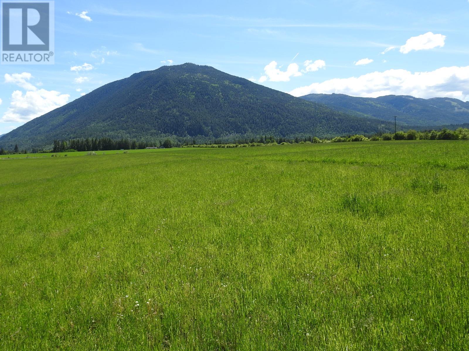 1144 Tappen Valley Road, Tappen, British Columbia  V0E 2X3 - Photo 5 - 10346363