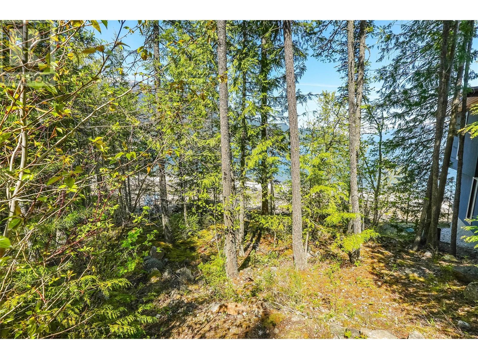 283 Kootenay Lake Road, Procter, British Columbia  V1L 0B6 - Photo 12 - 10346652