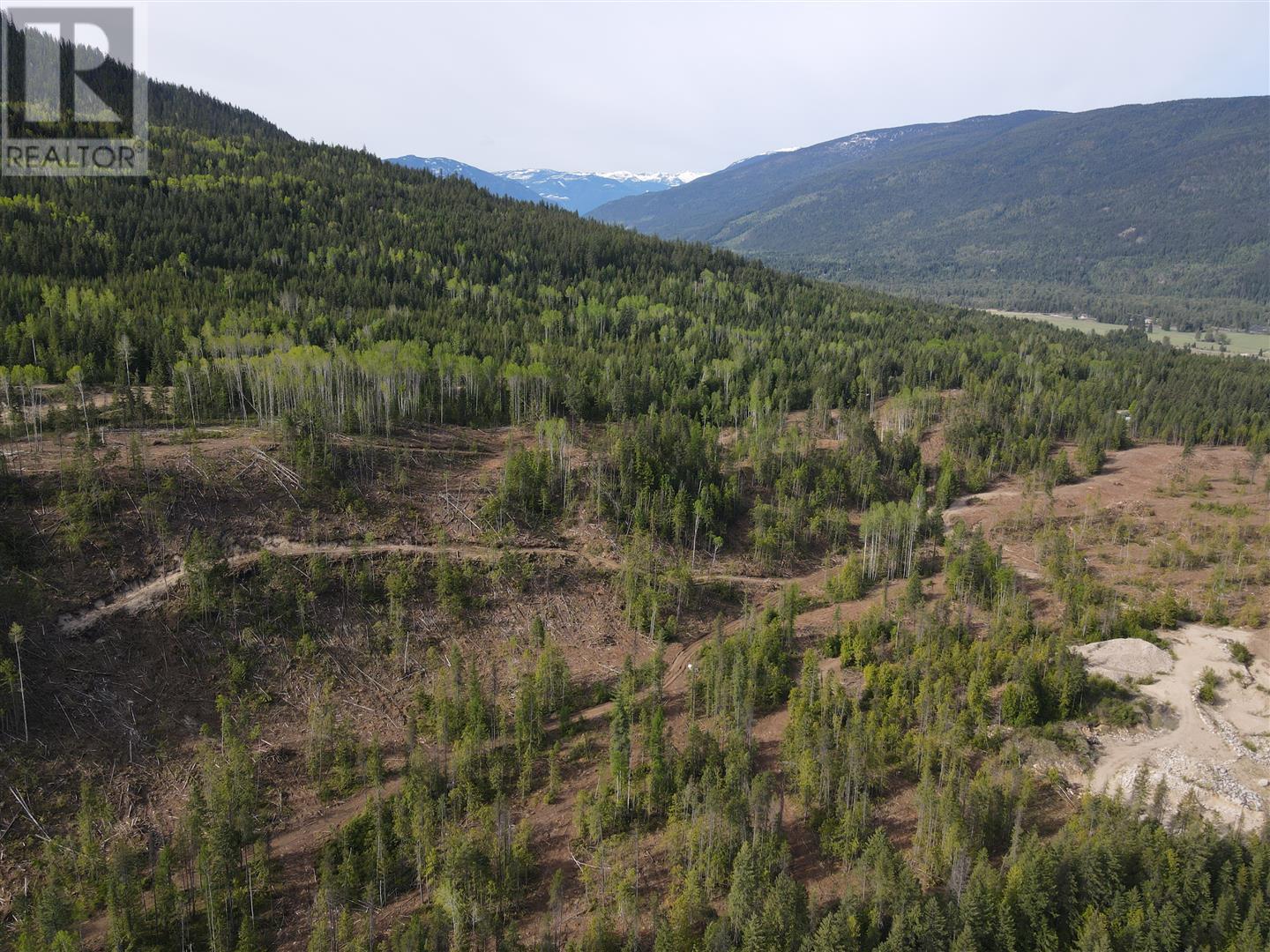 7928 Lemon Creek Road, Slocan, British Columbia  V0G 2C0 - Photo 5 - 10346148