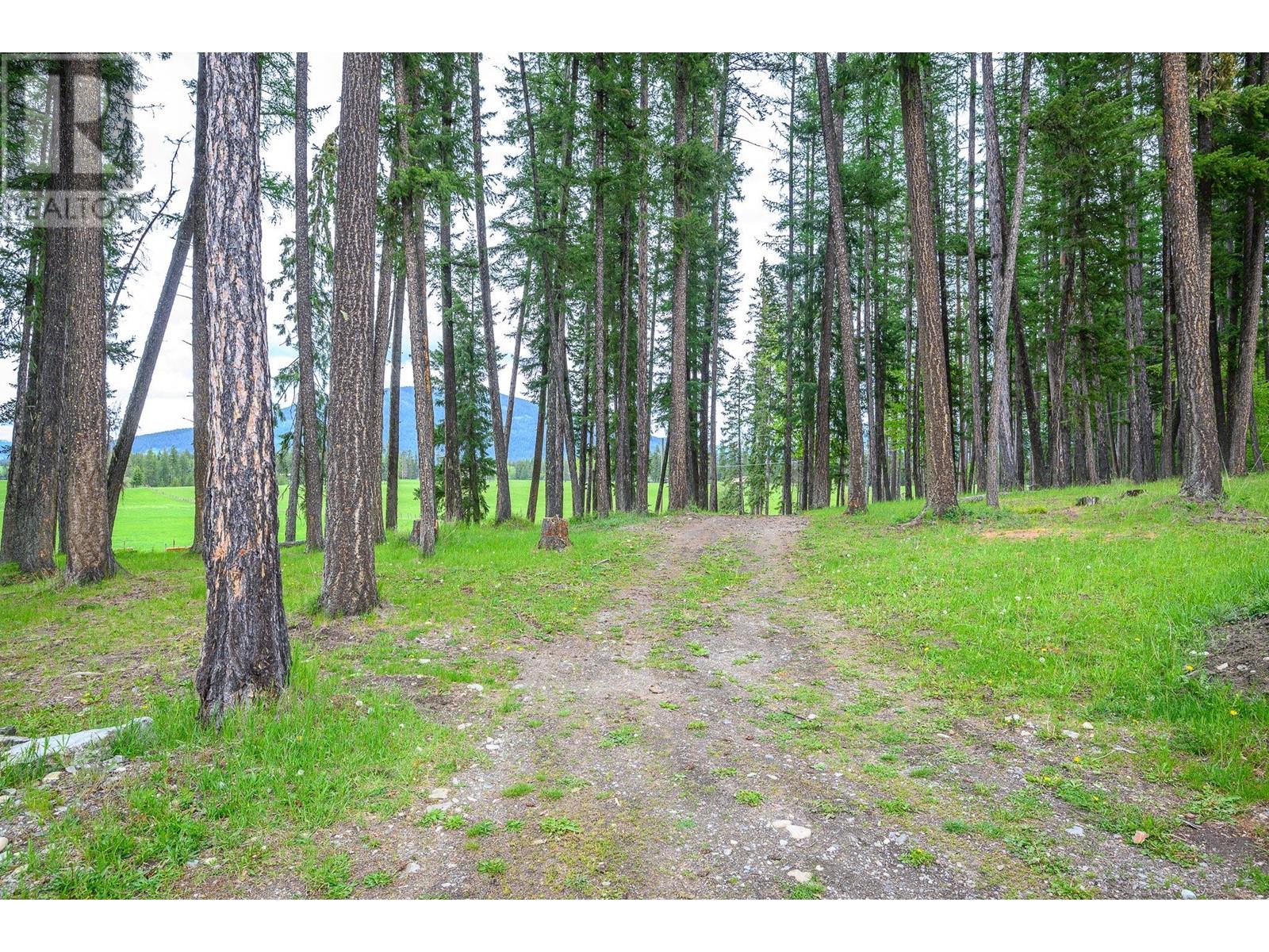 4 Hollingsworth Road, Cherryville, British Columbia  V0E 2G3 - Photo 50 - 10347182