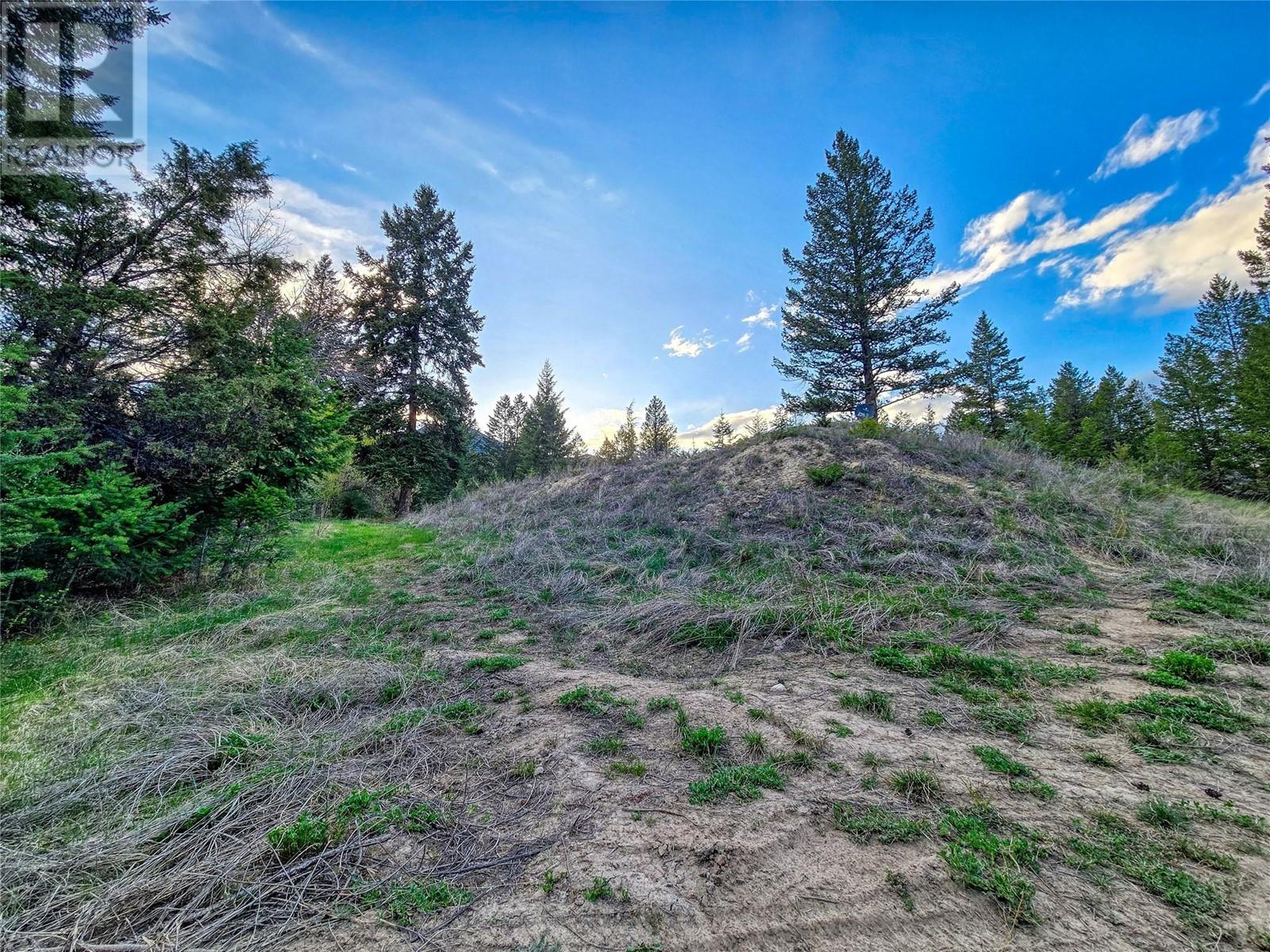 6705 Columbia Estates Road, Fairmont Hot Springs, British Columbia  V0B 1L2 - Photo 14 - 10347173