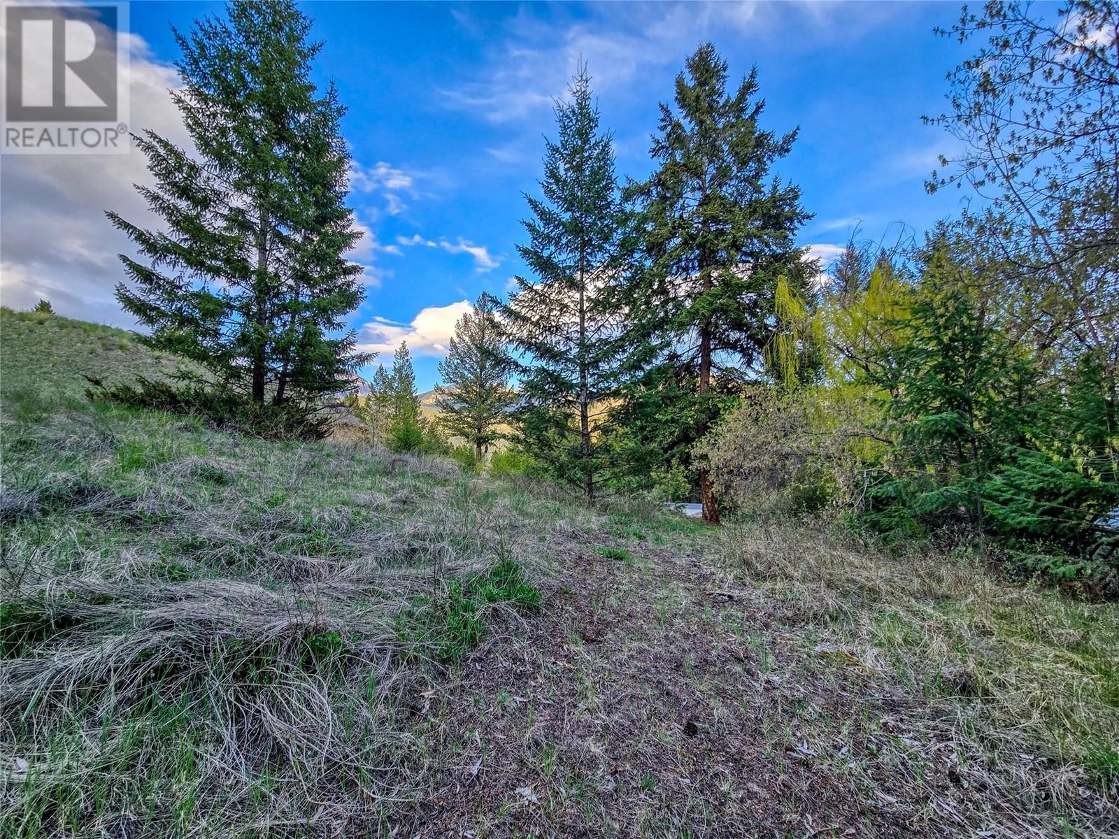 6705 Columbia Estates Road, Fairmont Hot Springs, British Columbia  V0B 1L2 - Photo 16 - 10347173