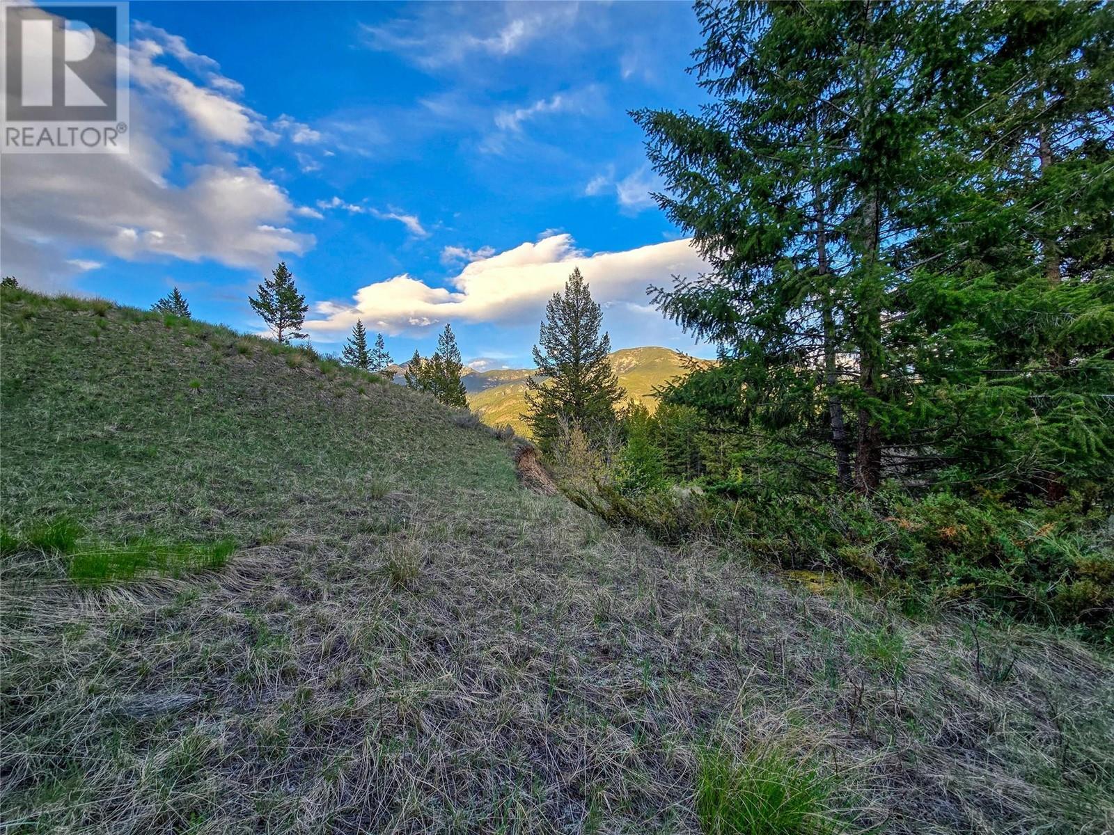 6705 Columbia Estates Road, Fairmont Hot Springs, British Columbia  V0B 1L2 - Photo 3 - 10347173