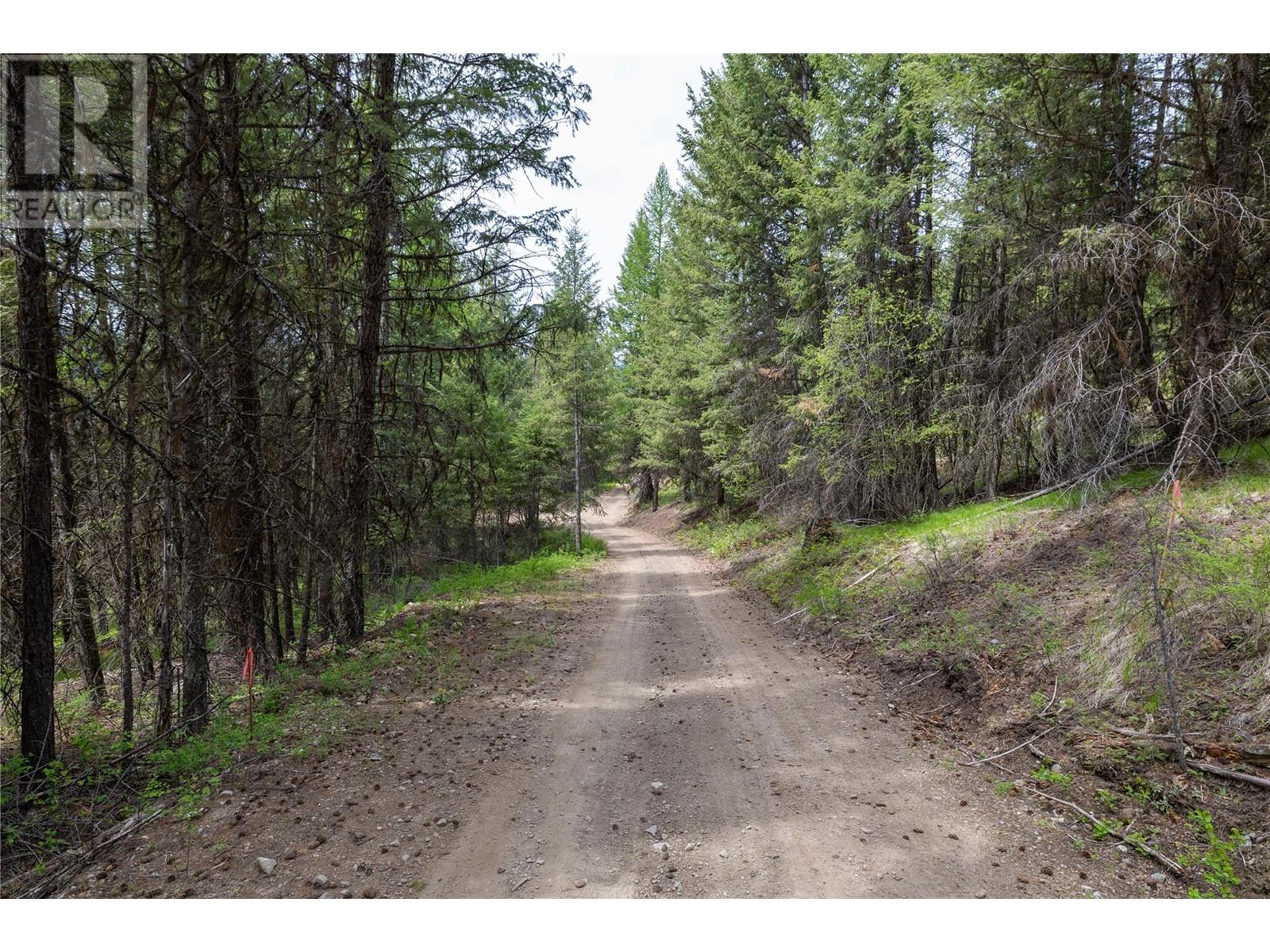 233 Boulder Road Lot# 10a, Beaverdell, British Columbia  V0H 1A0 - Photo 14 - 10347169