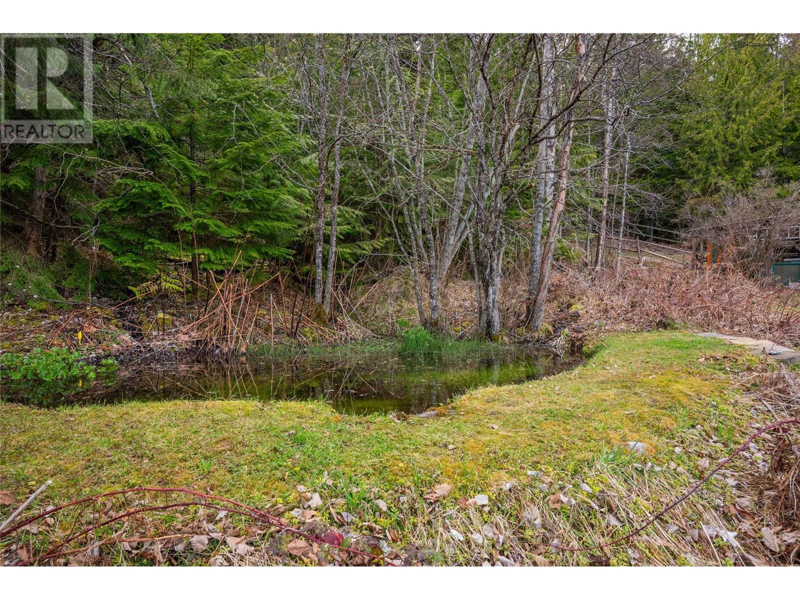 9351 31 Highway, Kaslo, British Columbia  V0G 1M0 - Photo 47 - 10344223
