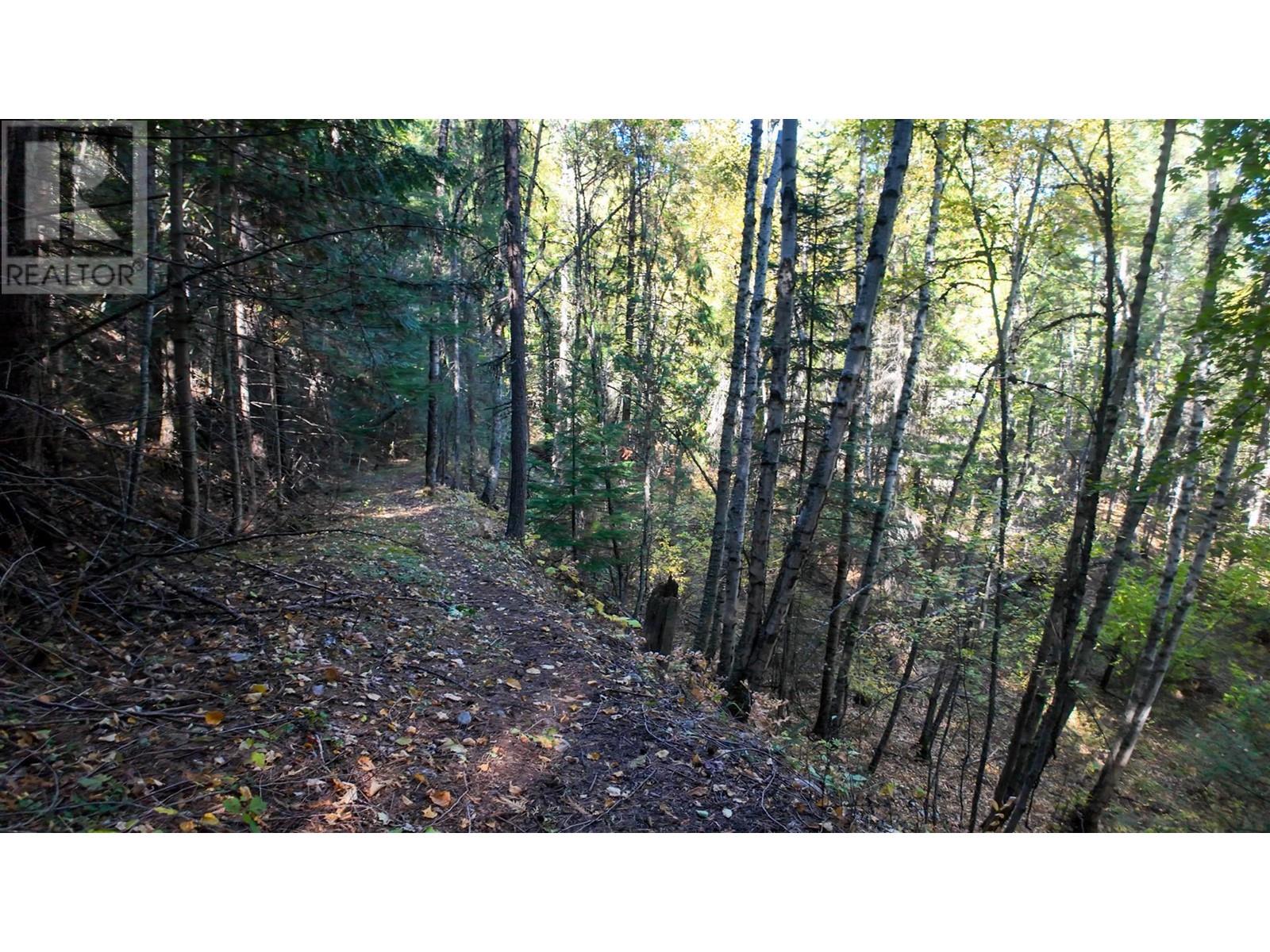 3751 Westwind Road, Krestova, British Columbia  V0G 1H2 - Photo 18 - 10346710