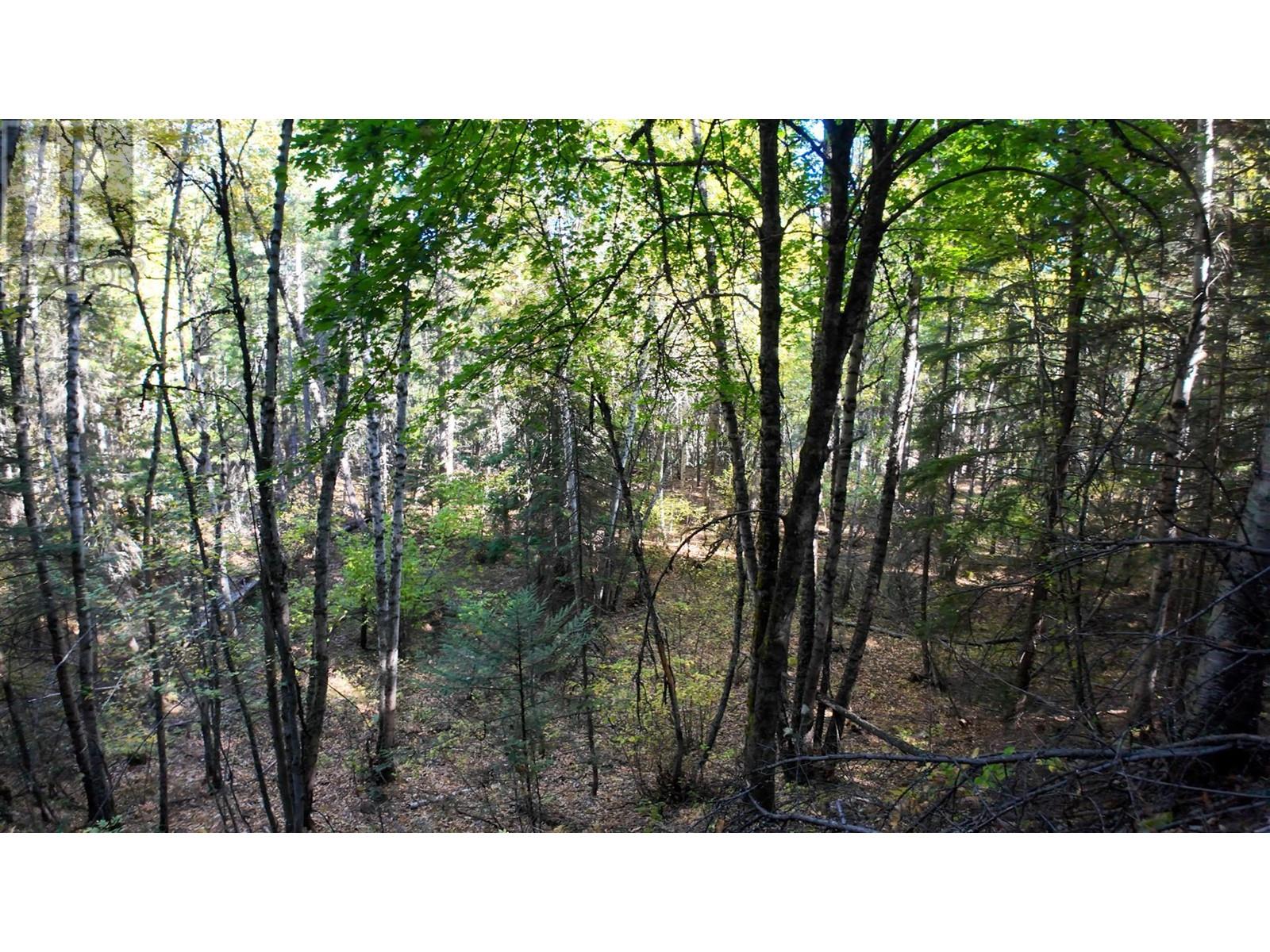 3751 Westwind Road, Krestova, British Columbia  V0G 1H2 - Photo 20 - 10346710