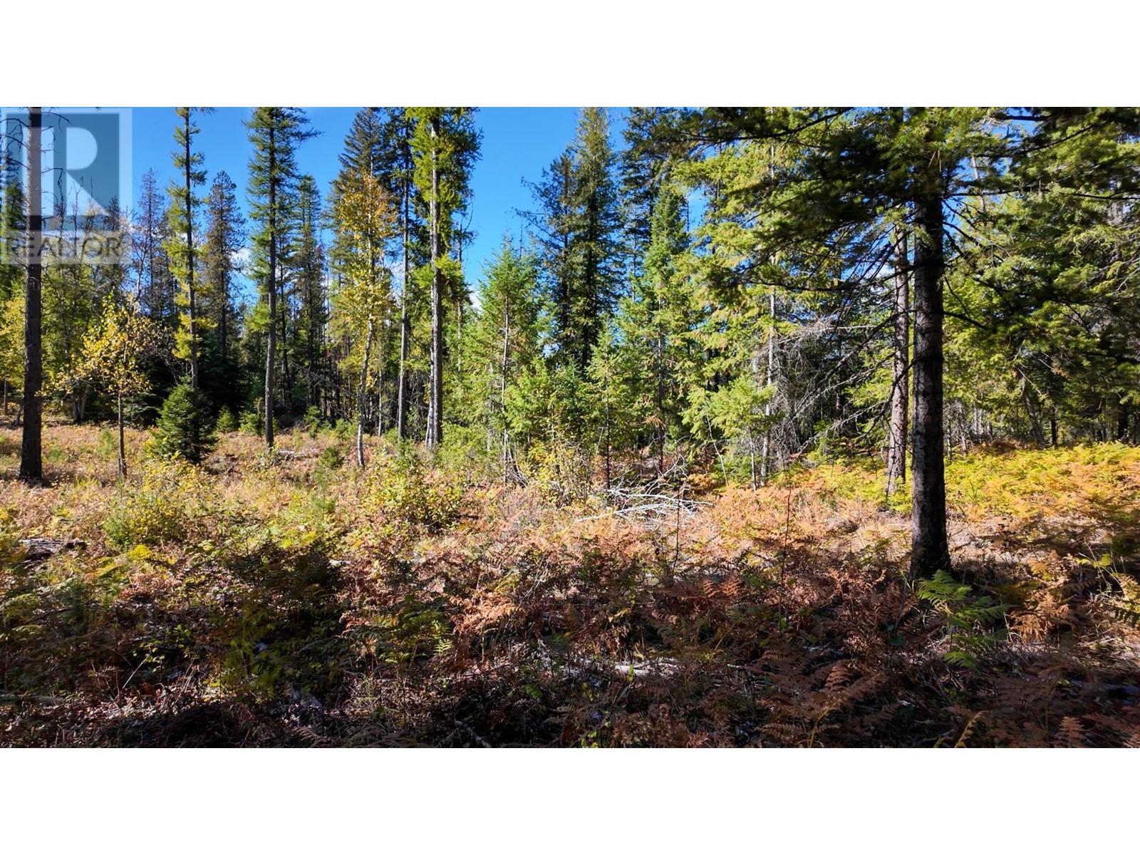 3751 Westwind Road, Krestova, British Columbia  V0G 1H2 - Photo 21 - 10346710