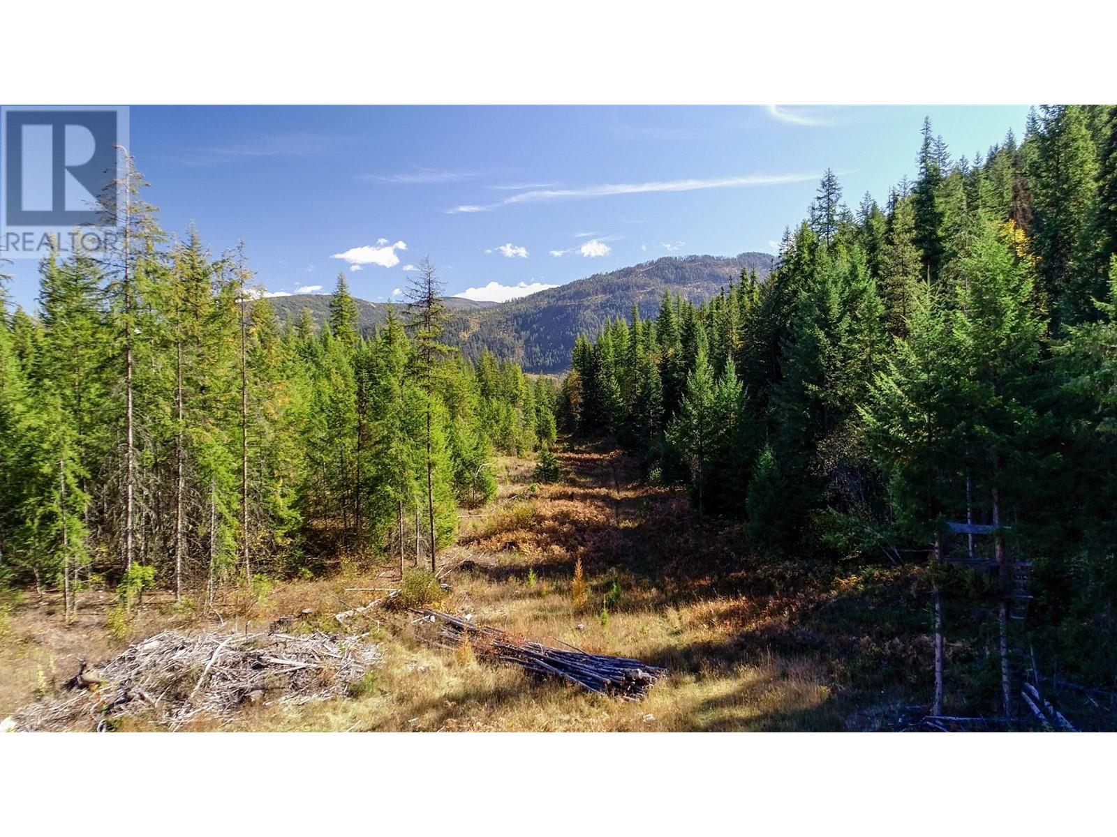 3751 Westwind Road, Krestova, British Columbia  V0G 1H2 - Photo 6 - 10346710