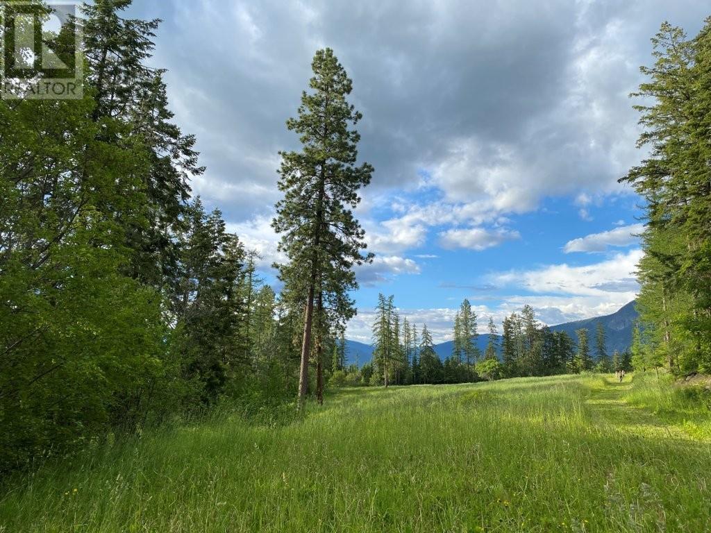 3677 20th Street, Lister, British Columbia  V0B 1G2 - Photo 34 - 10347578
