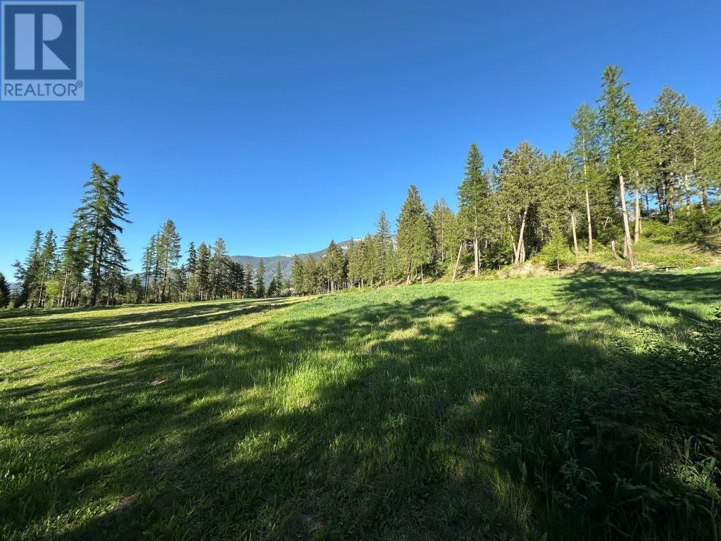 3677 20th Street, Lister, British Columbia  V0B 1G2 - Photo 41 - 10347578