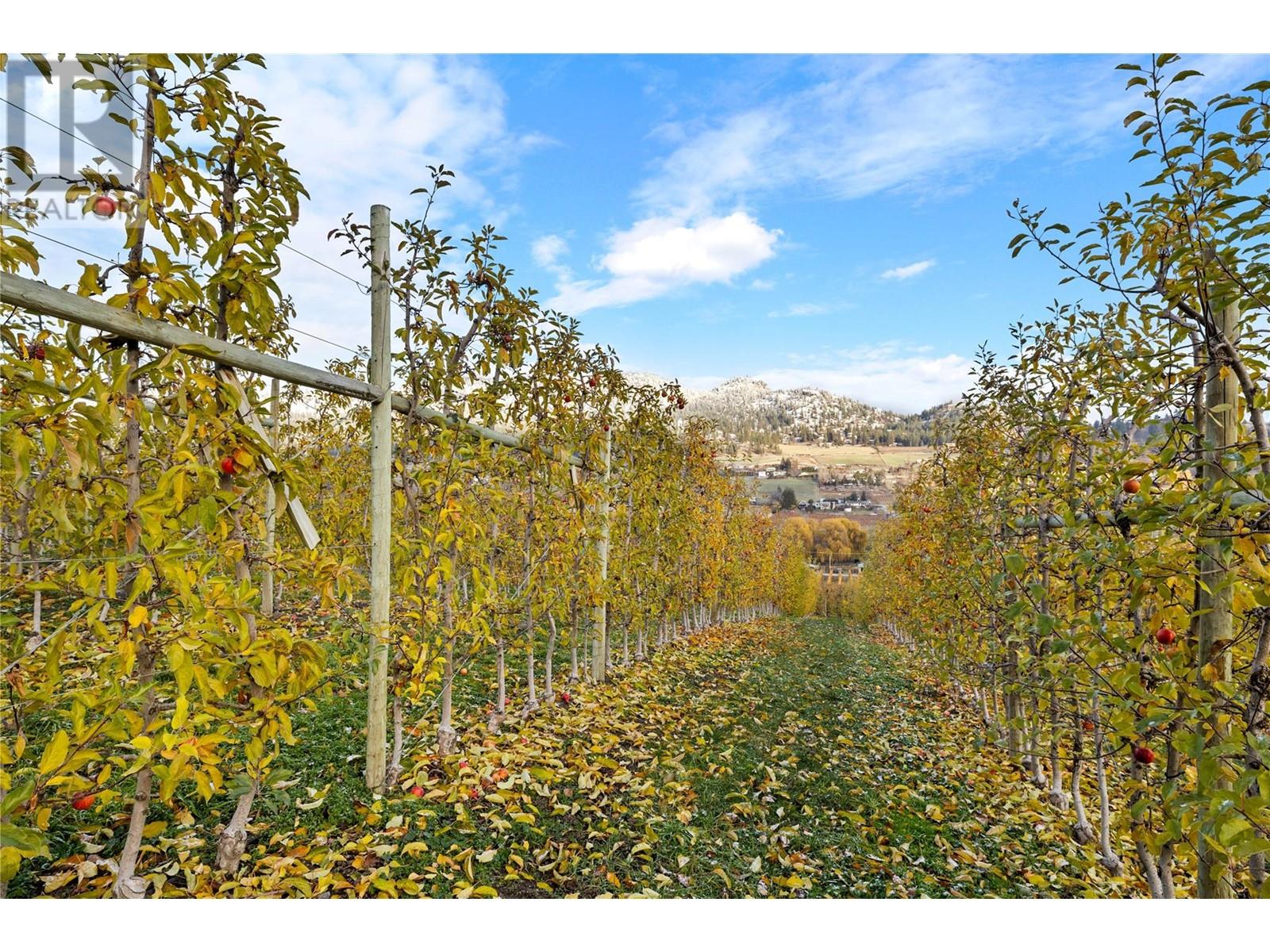 9827 Gillard Avenue, Summerland, British Columbia  V0H 1Z8 - Photo 21 - 10347611