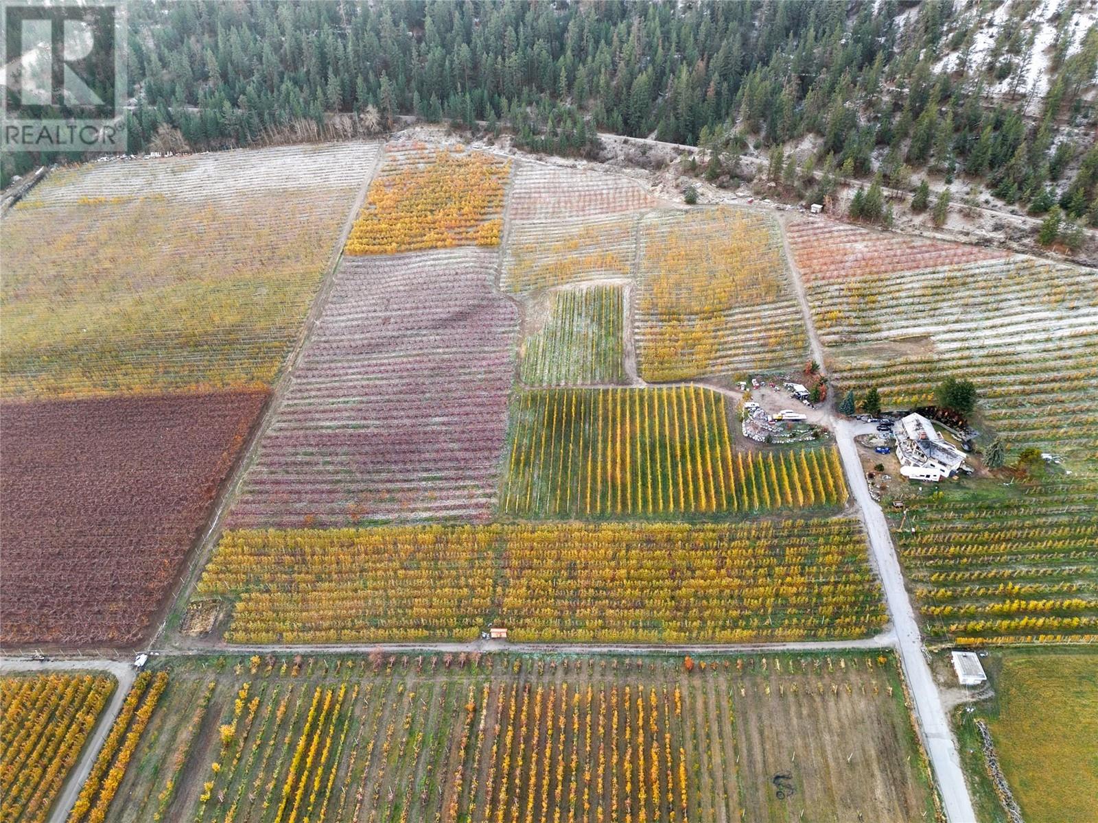 9827 Gillard Avenue, Summerland, British Columbia  V0H 1Z8 - Photo 5 - 10347611