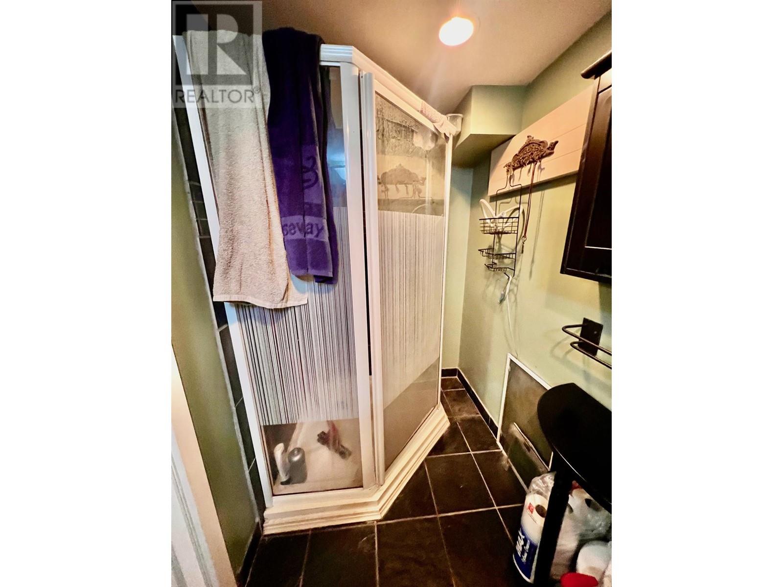 510 Innes Street, Nelson, British Columbia  V1L 5E9 - Photo 18 - 10347178