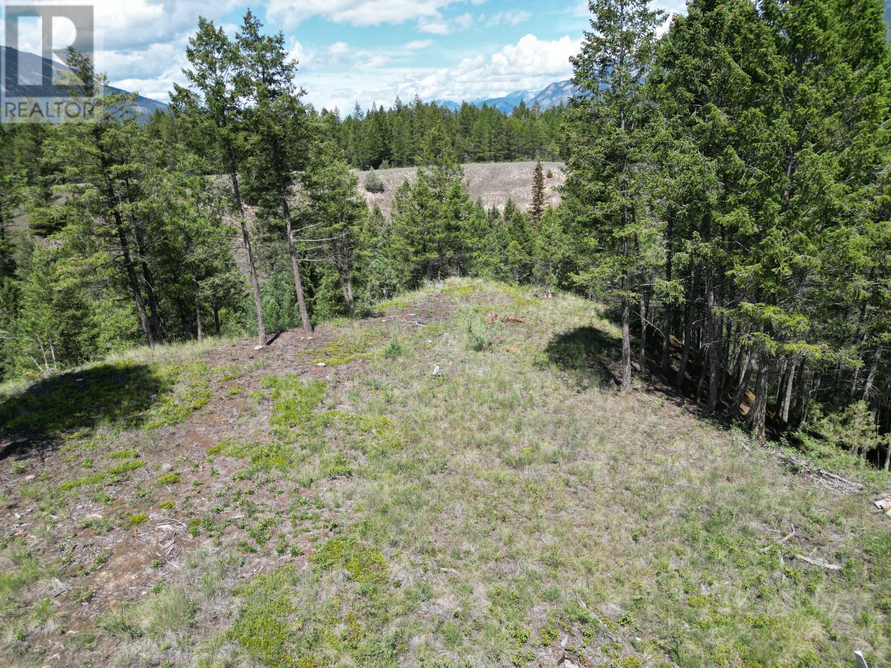 Lot 18 Saddlewood Lane, Radium Hot Springs, British Columbia  V0A 1M0 - Photo 25 - 10347687